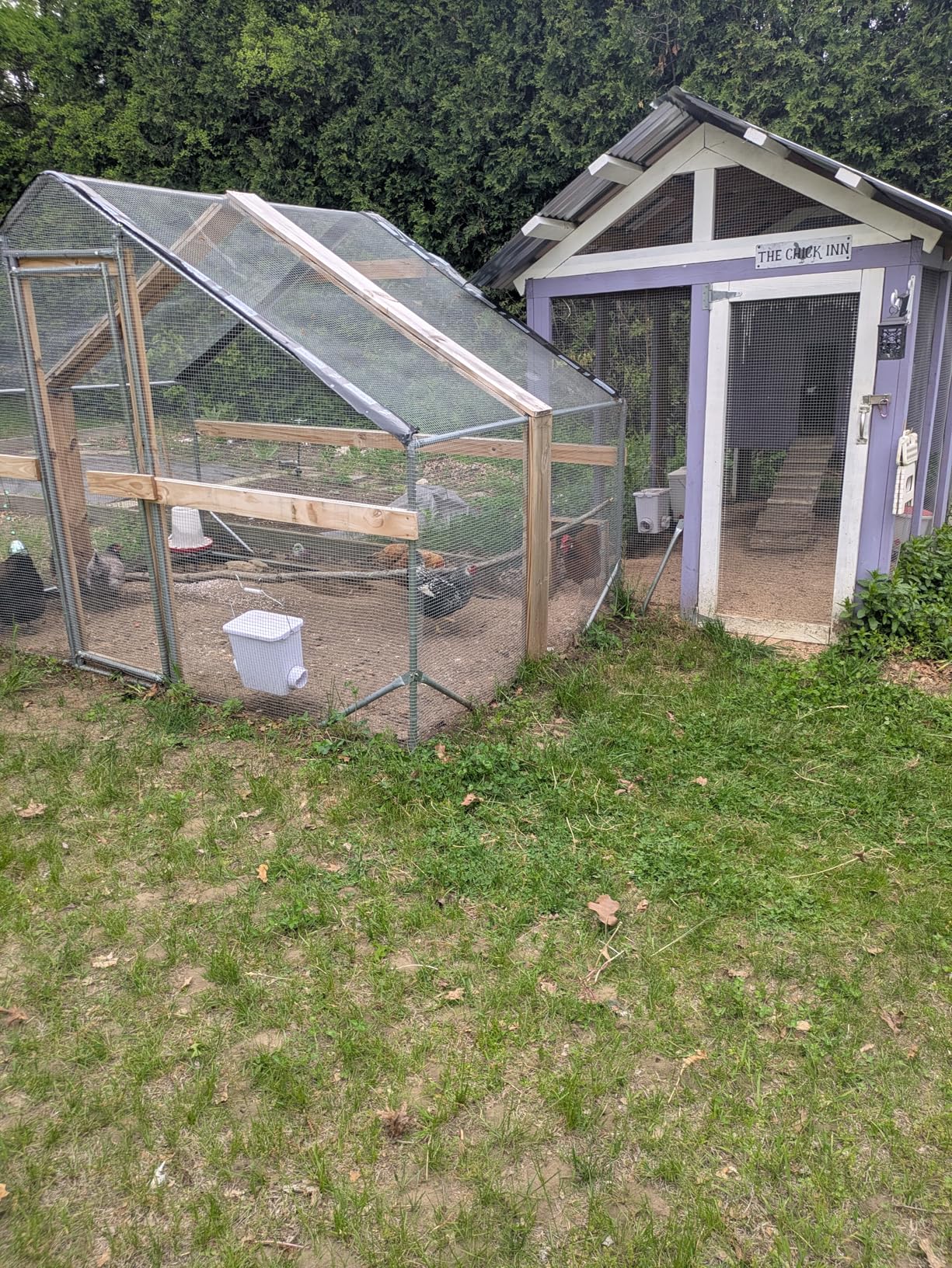 CHIKENCOOP 19.5x9.8x6.5 ft Metal Chicken Coop, Chicken Run with Cover | Three-room walk-in chicken run with waterproof UV-resistant cover, lockable steel door, and PVC-coated wire mesh. customer photo 2