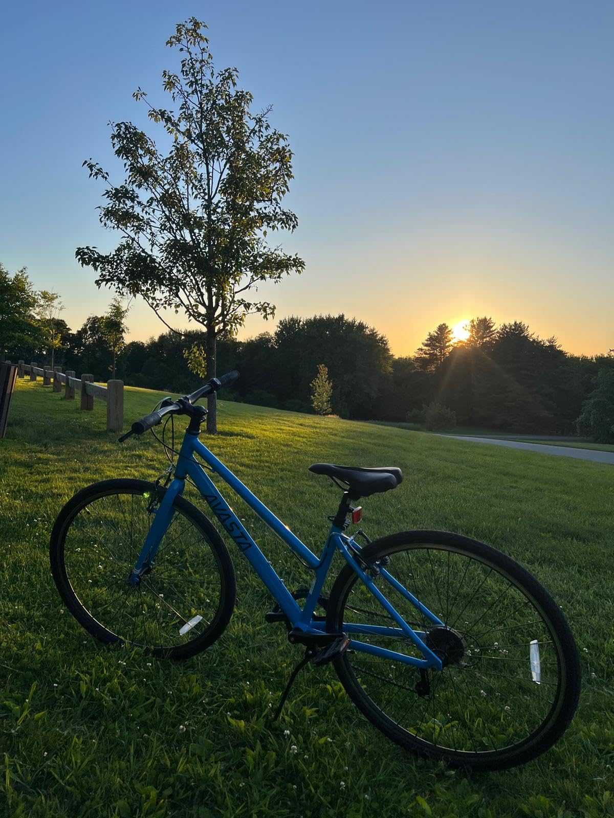 AVASTA Populus 700C Road Bike for Women with Kickstand, 15/17 Inch Lightweight Step Through Aluminum Alloy Frame, 7-Speed Drivetrain, Multiple Colors customer photo 1