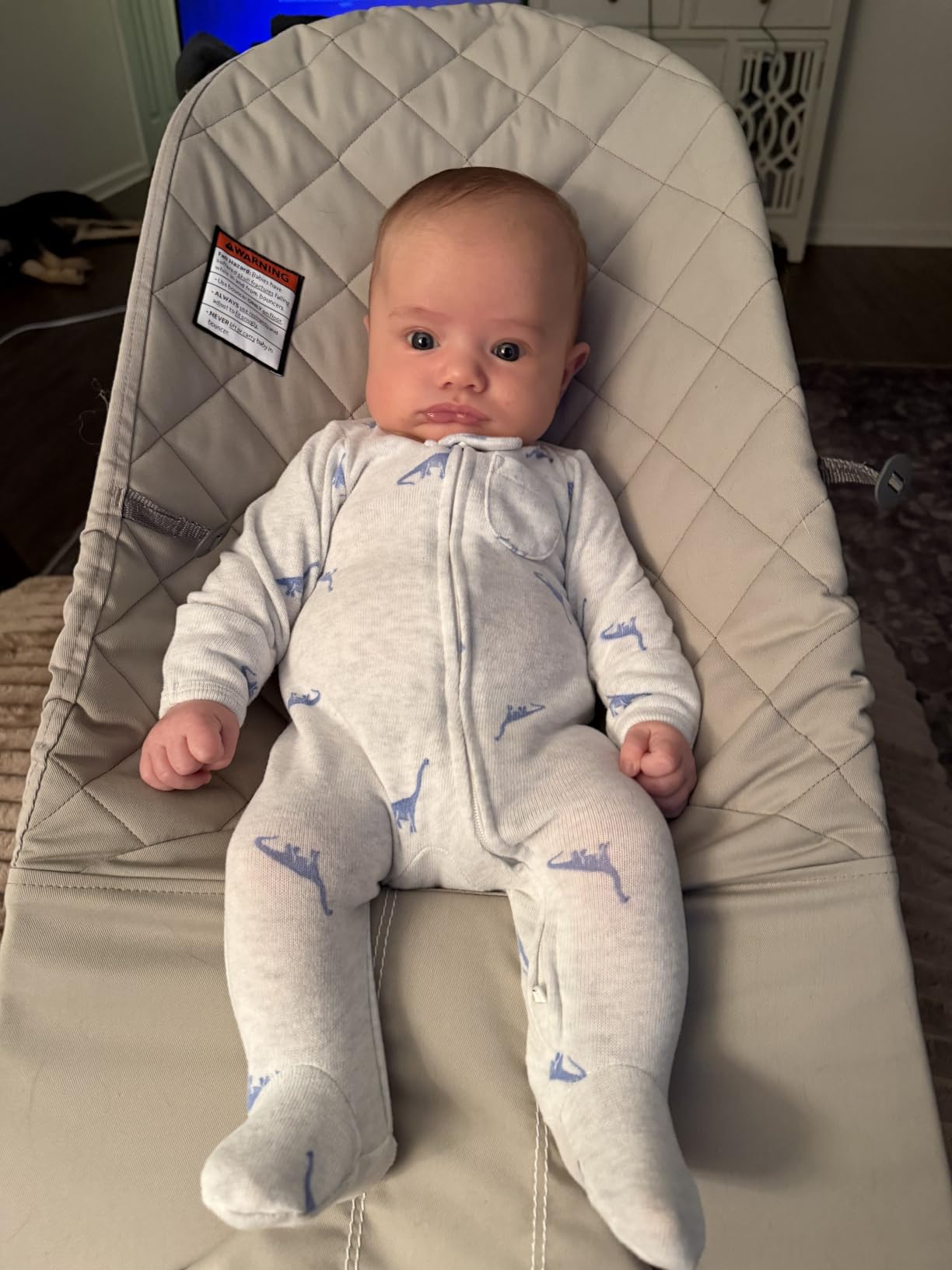 BabyBjorn Bouncer Bliss, Sand Gray, Woven, Classic Quilt | 2-in-1 Adjustable Baby Bouncer Seat and Toddler Chair, Newborn to Toddler (8-29 lbs), 4 Positions, Lightweight & Portable customer photo 1