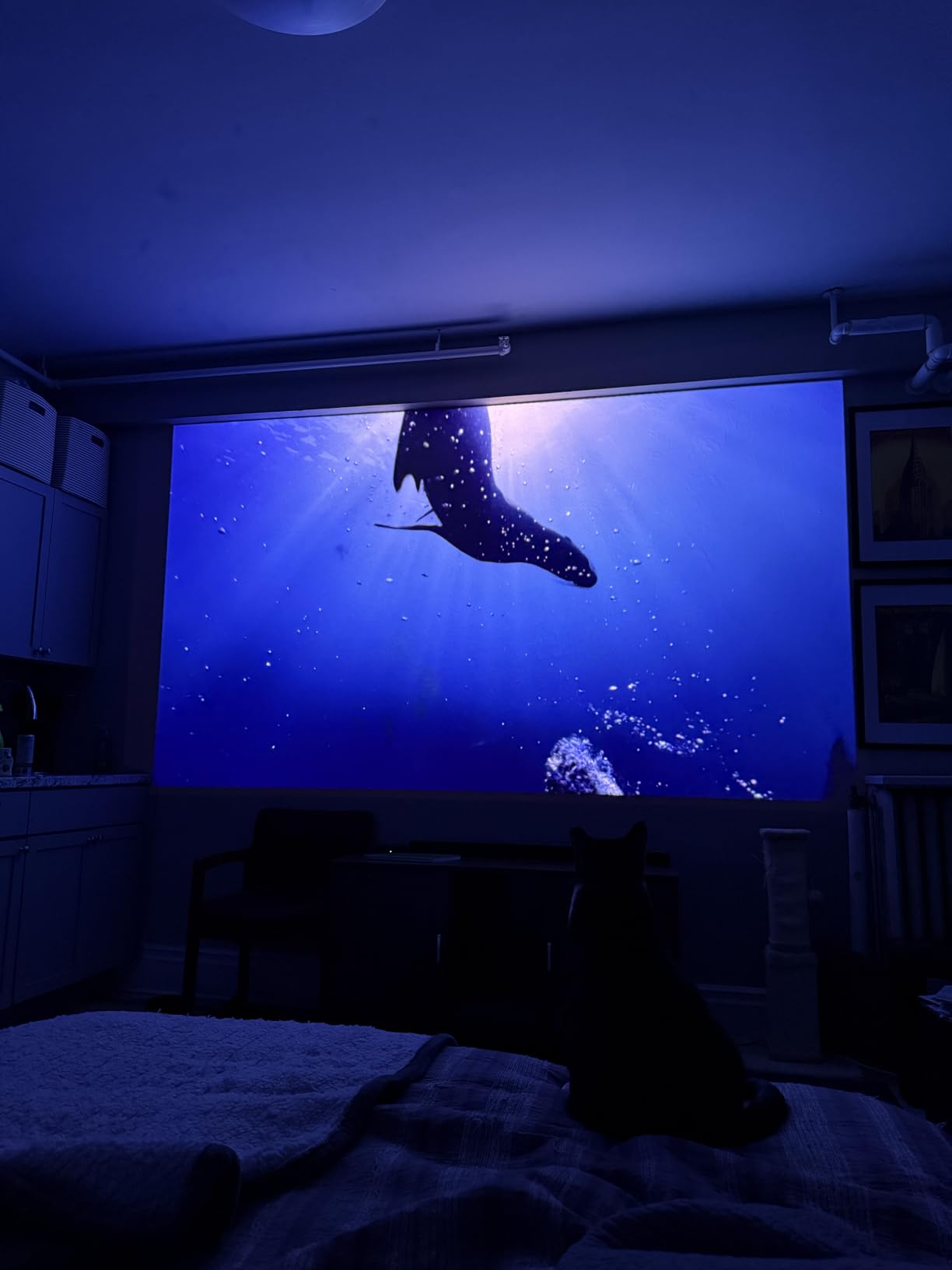JMGO N1S Ultimate Triple Laser 4K Projector customer photo 1