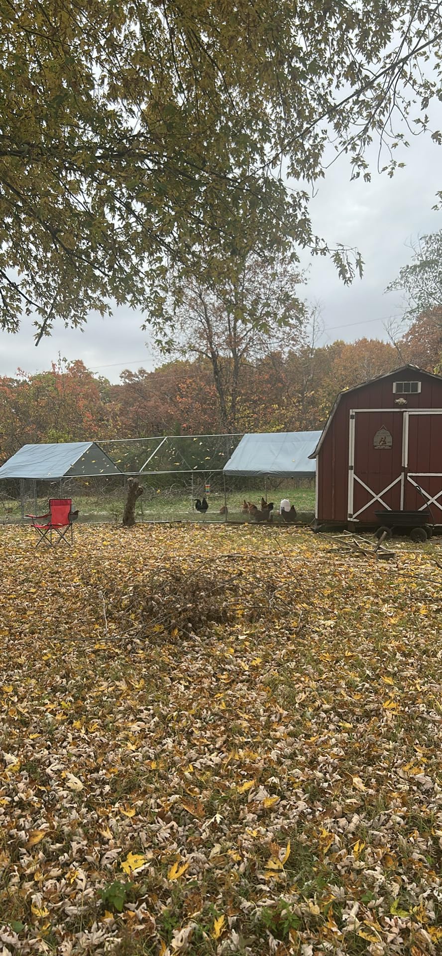 PawHut 9.2' x 31.2' x 6.5' Large Chicken Coop Metal Chicken Run w/Waterproof and Anti-UV Cover, 2 Lockable Doors, Dome Shaped Walk in Hen House for 30-40 Hens, Ducks, Poultry, Outdoor Yard Farm Use customer photo 1