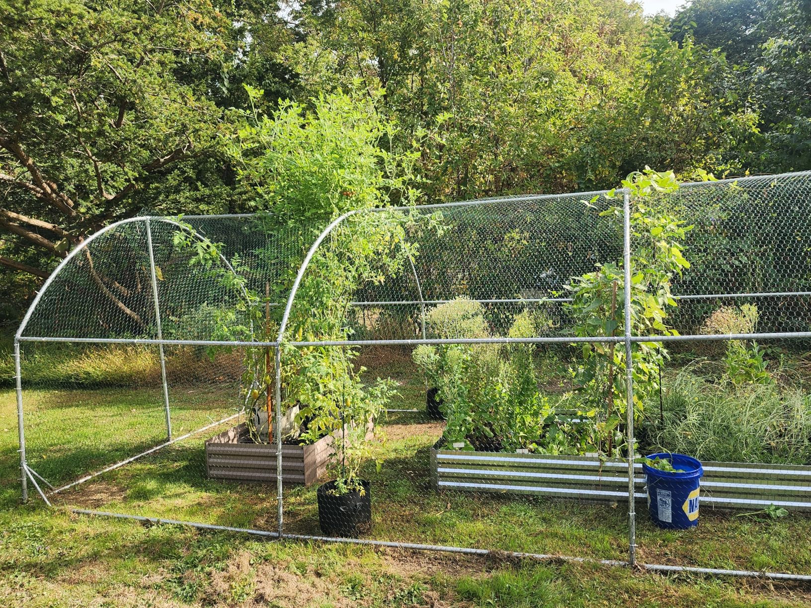 PawHut 9.2' x 31.2' x 6.5' Large Chicken Coop Metal Chicken Run w/Waterproof and Anti-UV Cover, 2 Lockable Doors, Dome Shaped Walk in Hen House for 30-40 Hens, Ducks, Poultry, Outdoor Yard Farm Use customer photo 2