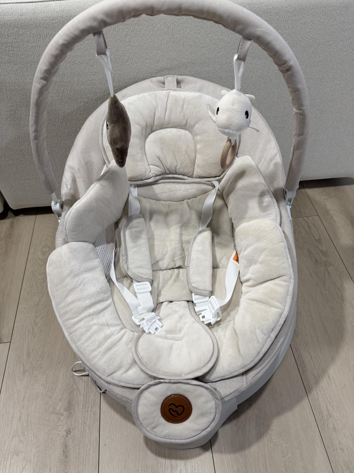 Baby Swings for Infants, FasonBaby Electric Baby Swing with 10 Preset Melodies, 5 Speeds, Remote Control and Bluetooth - Portable Infant Swing for Indoor and Outdoor(Beige) customer photo 1