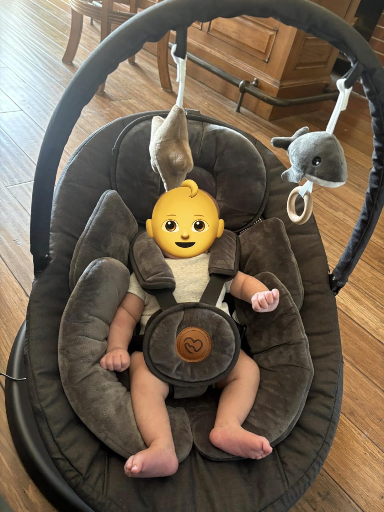 Baby Swings for Infants, FasonBaby Electric Baby Swing with 10 Preset Melodies, 5 Speeds, Remote Control and Bluetooth - Portable Infant Swing for Indoor and Outdoor(Beige) customer photo 2
