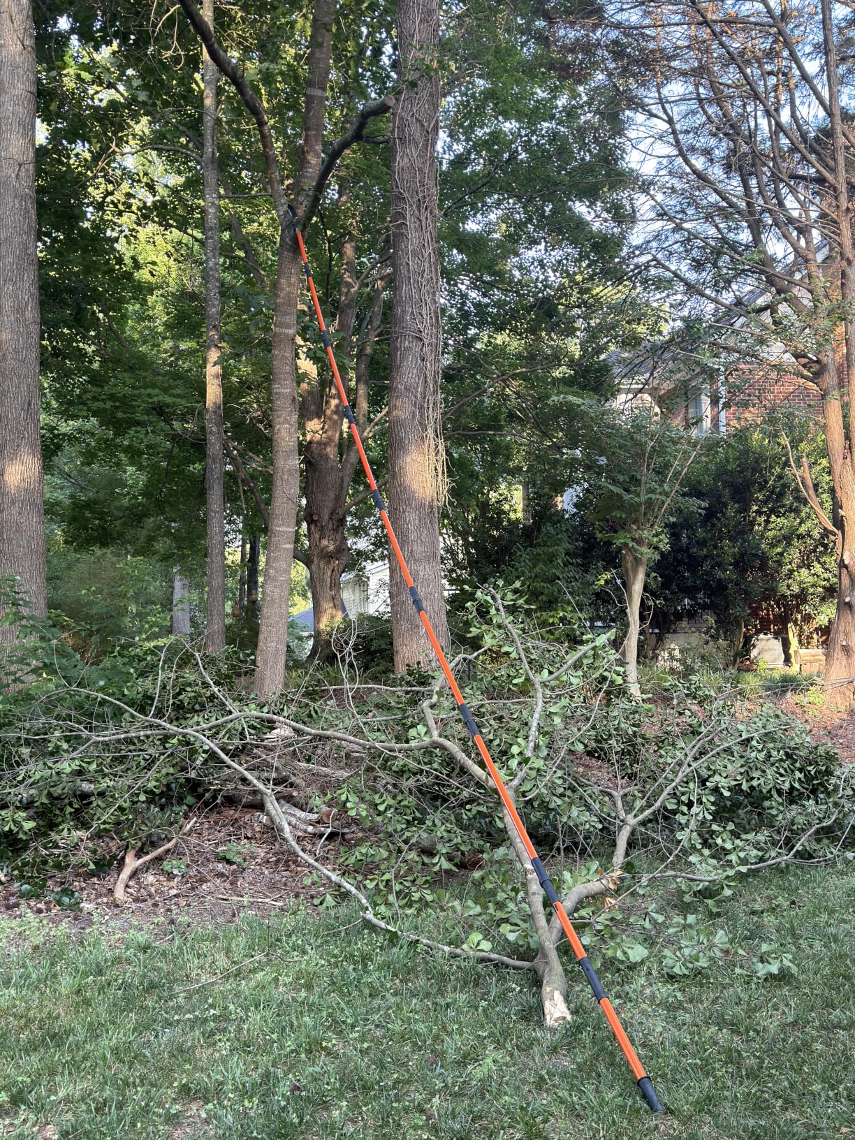 VEVOR Manual Pole Saw, 3.87-27 ft Extendable Pole Tree Pruner with Scissors, Sharp 65Mn Steel Blade, Lightweight Fiberglass Handle Pole, for High Branch Trimming, Pruning Tool for Palms and Shrubs customer photo 1