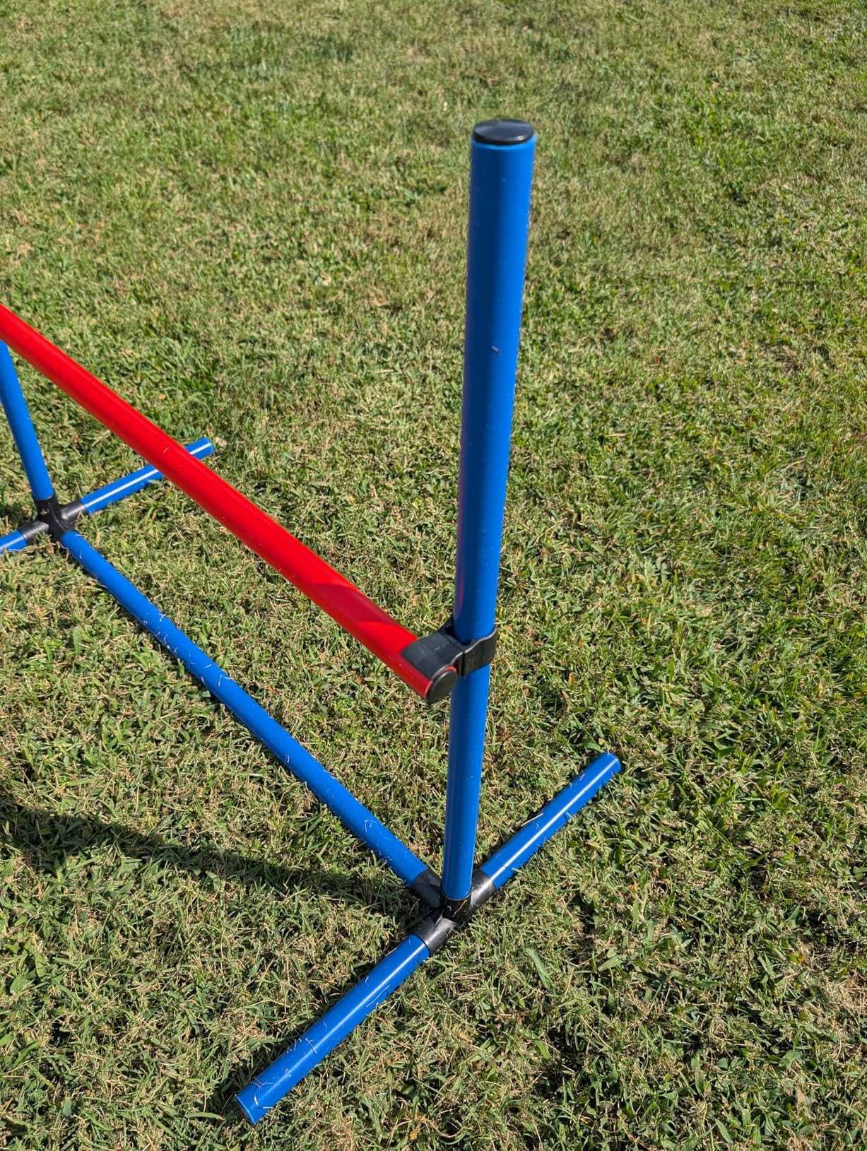 DWVO Dog Agility Accessories Kit: Teaser Pole, 2 Hurdles, 6 Weaving Poles, Agility Tunnel, Pause Box, Full Set of Agility Equipment for Backyard Indoors Outdoors customer photo 2