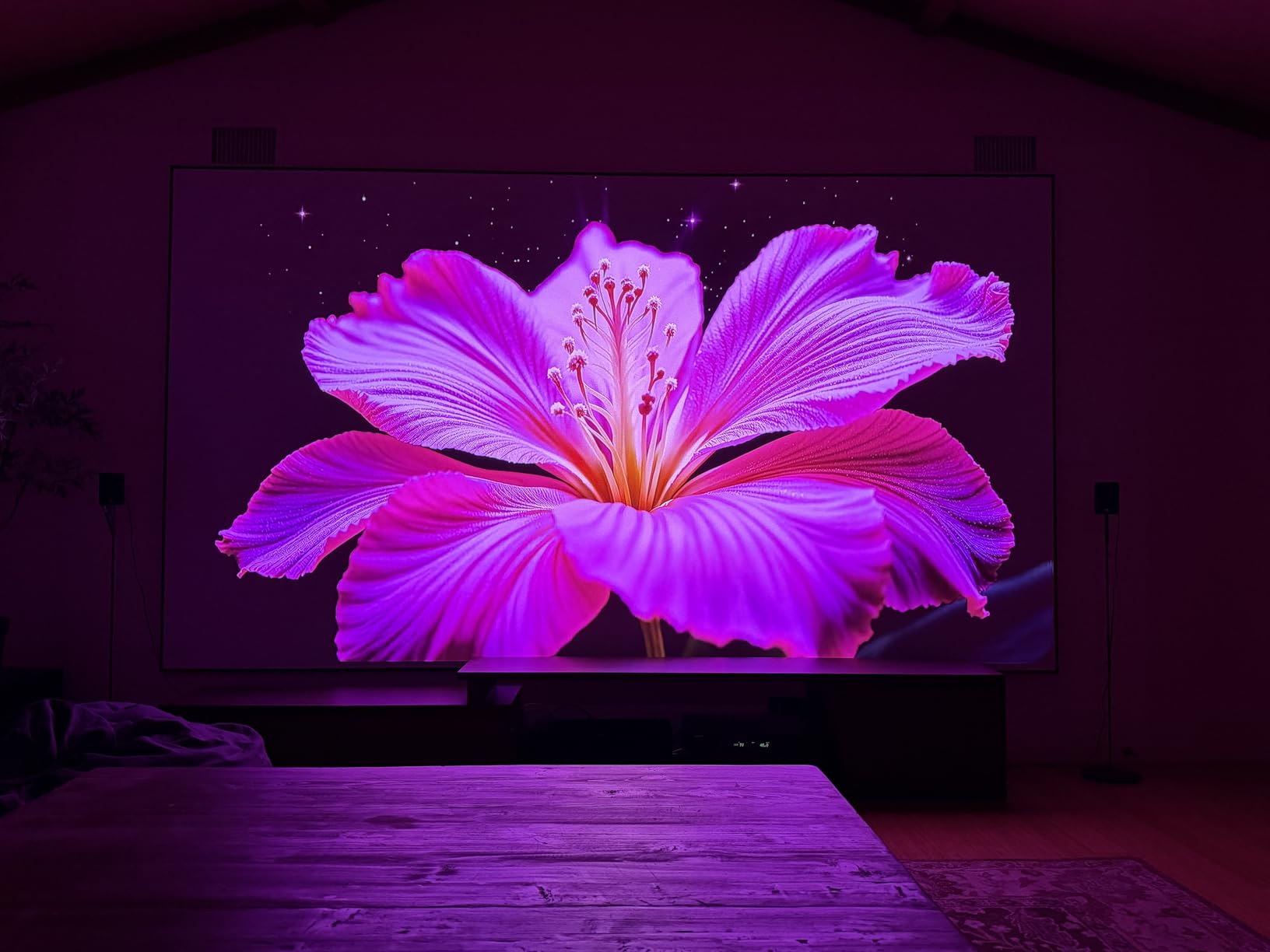Valerion VisionMaster Max 4K Laser Projector customer photo 2