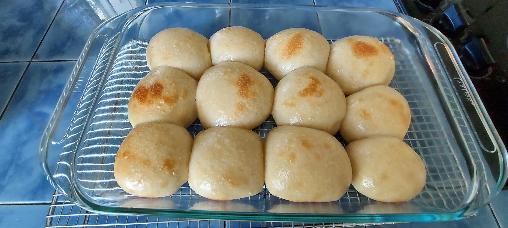 Cozy Bread Proofer | Sourdough Proofing Box with Thermostat Control, Collapsible Bread Proofer customer photo 2