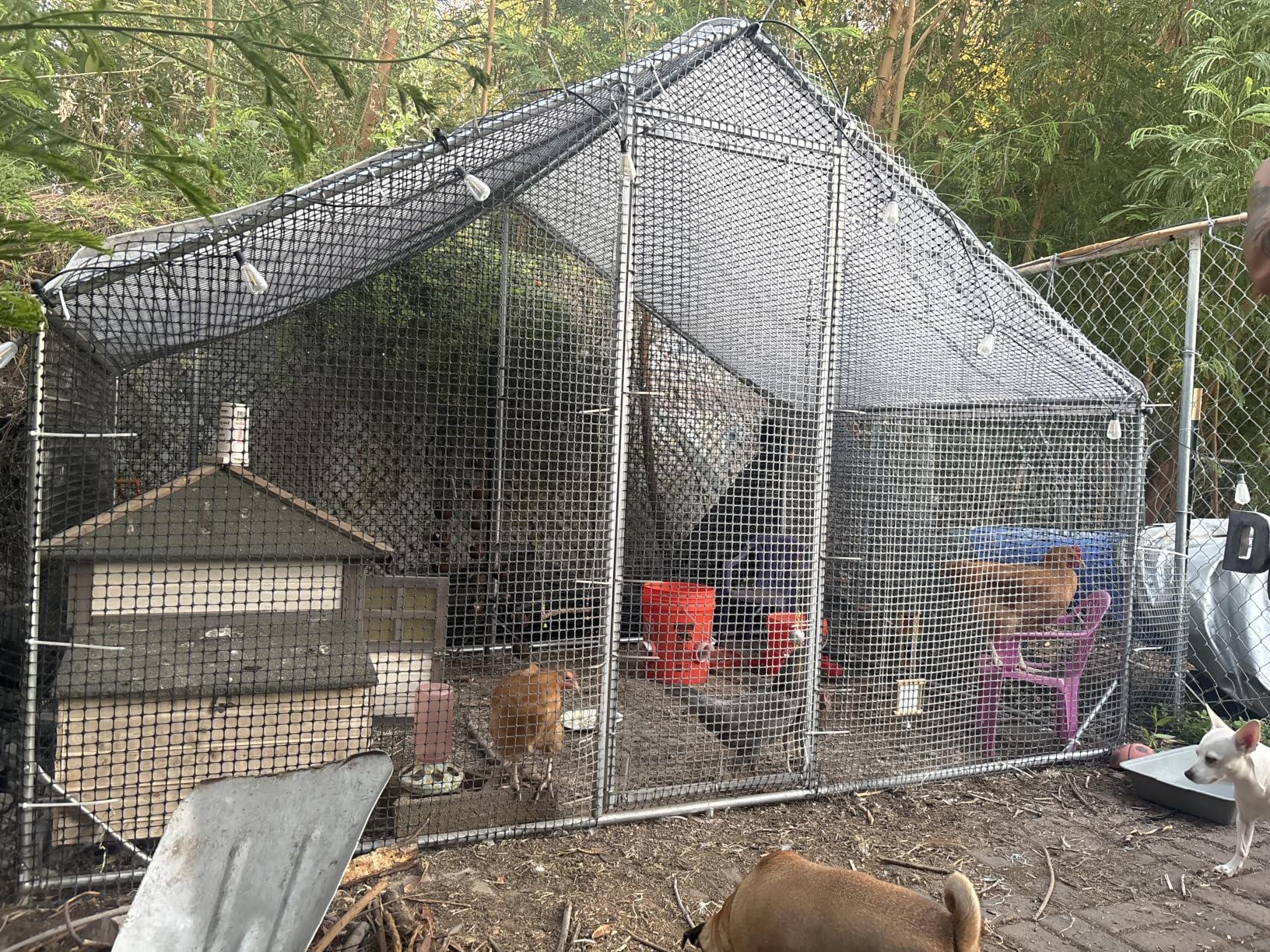 CAMMOO Metal Chicken Coop with Run, 19.7x9.8x6.6ft, Walk-in Chicken Run for Yard with Cover, Upgrade Double Lock & Tough Mesh, Stainless Steel Ties, Easy Assembly, Chicken Pen for Ducks, Rabbits customer photo 1