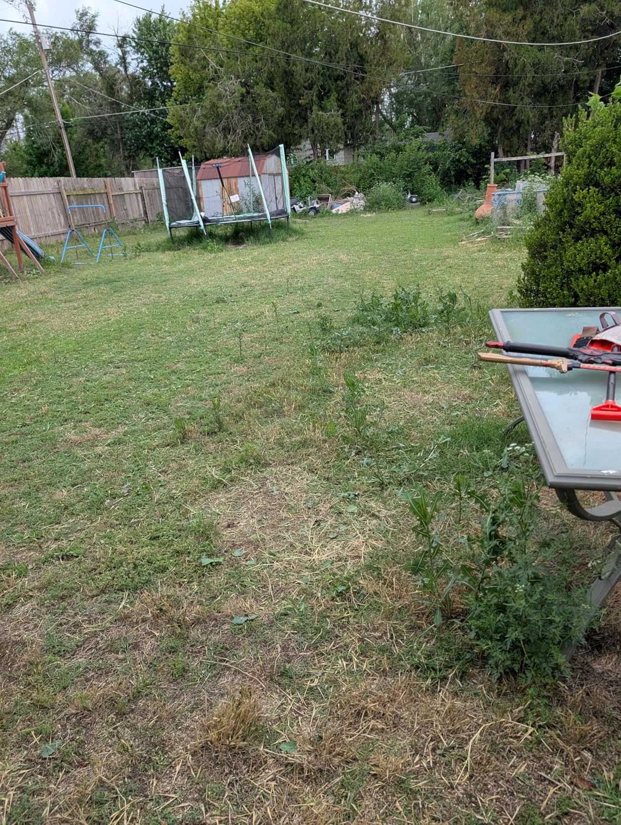 LawnMaster 20