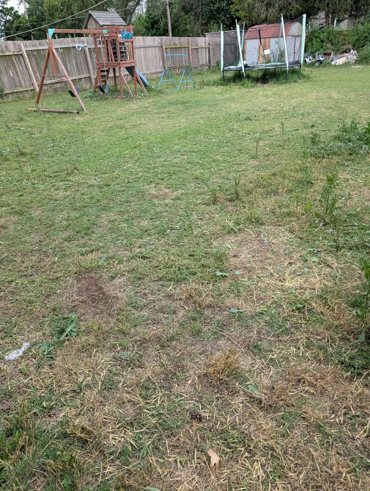 LawnMaster 20