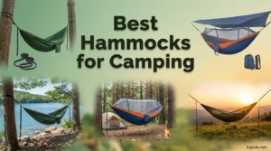 Best Hammocks for Camping