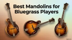 Best Mandolins for Bluegrass Players