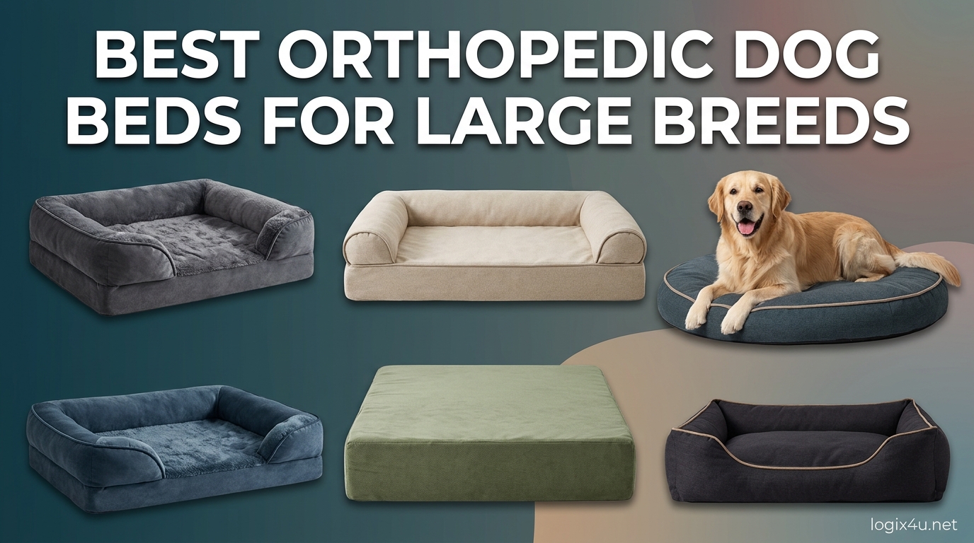 Best Orthopedic Dog Beds for Large Breeds