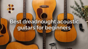 Best dreadnought acoustic guitars for beginners