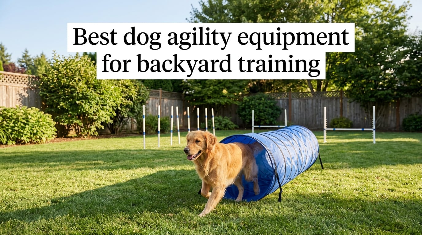 Best dog agility equipment for backyard training