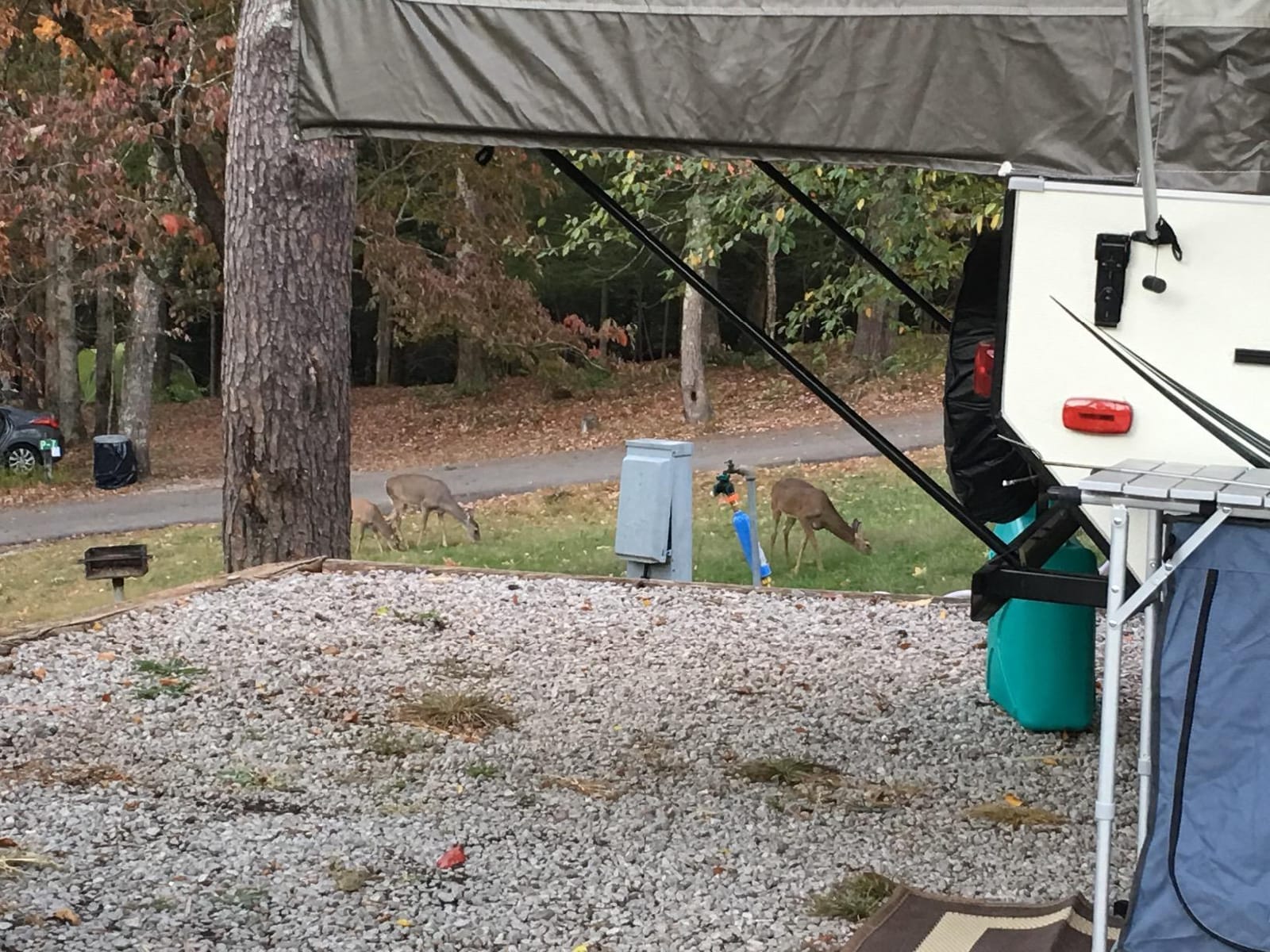 Camco Tastepure RV Water Filter - GAC & KDF Filtration - Made in the USA | Advanced RV Inline Water Filter with Flexible Hose Protector - Camping Essentials for Fresh Drinking Water (40043) customer photo 2