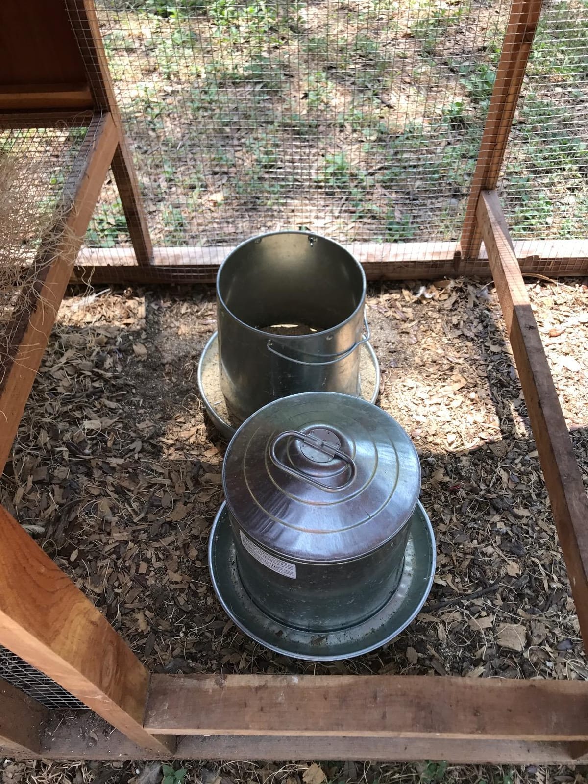 Little Giant Hanging Metal Poultry Feeder | Galvanized Steel Feed Container with Hanging Handle | 40 Pound customer photo 2