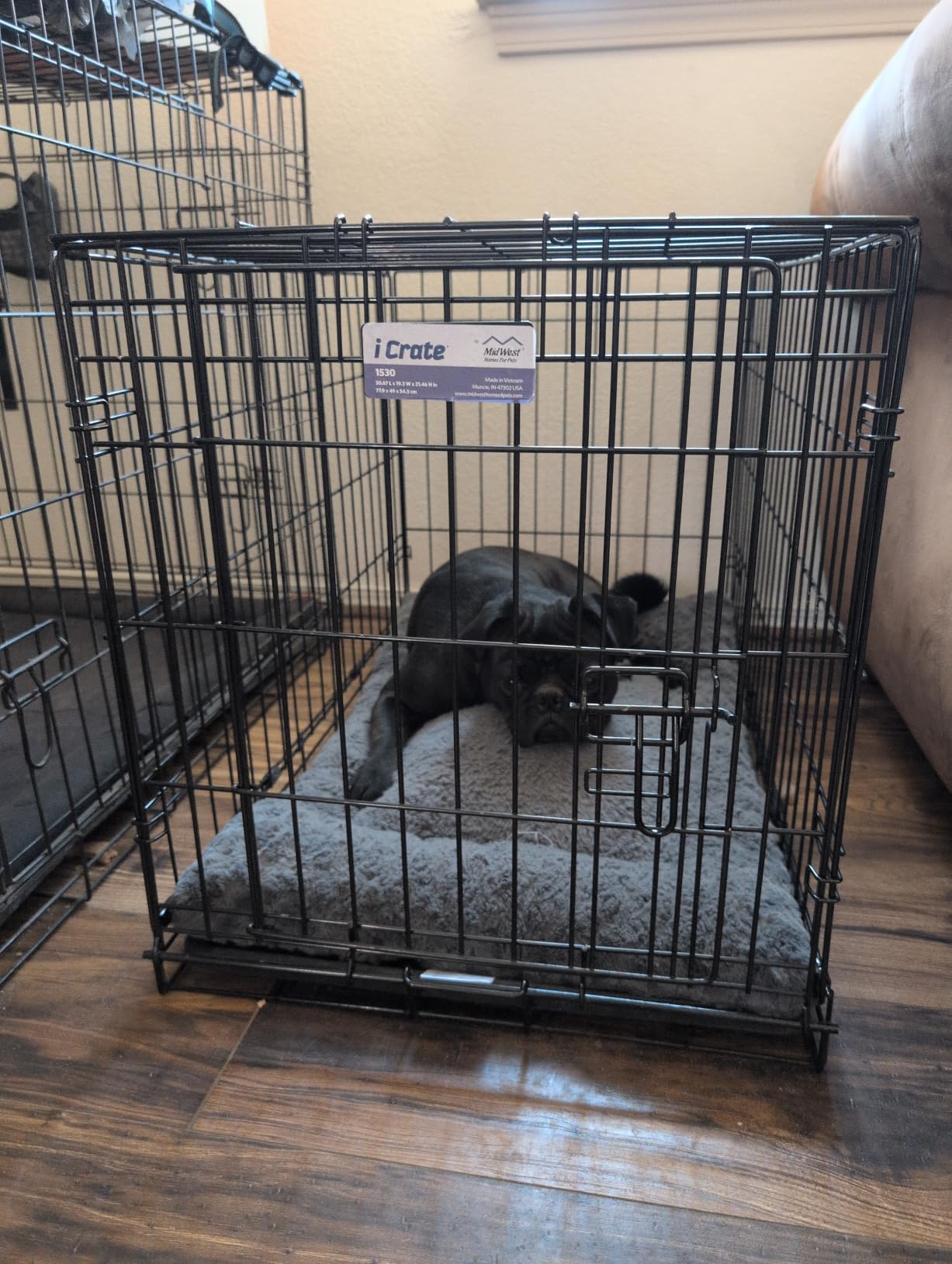 MidWest Homes for Pets 48-Inch iCrate for Extra-Large Breeds, 90-110 lbs, Single Door Folding Dog Crate with Divider Panel, Leak-Proof Tray & Secure Latches, Portable, Durable & Easy to Assemble customer photo 1