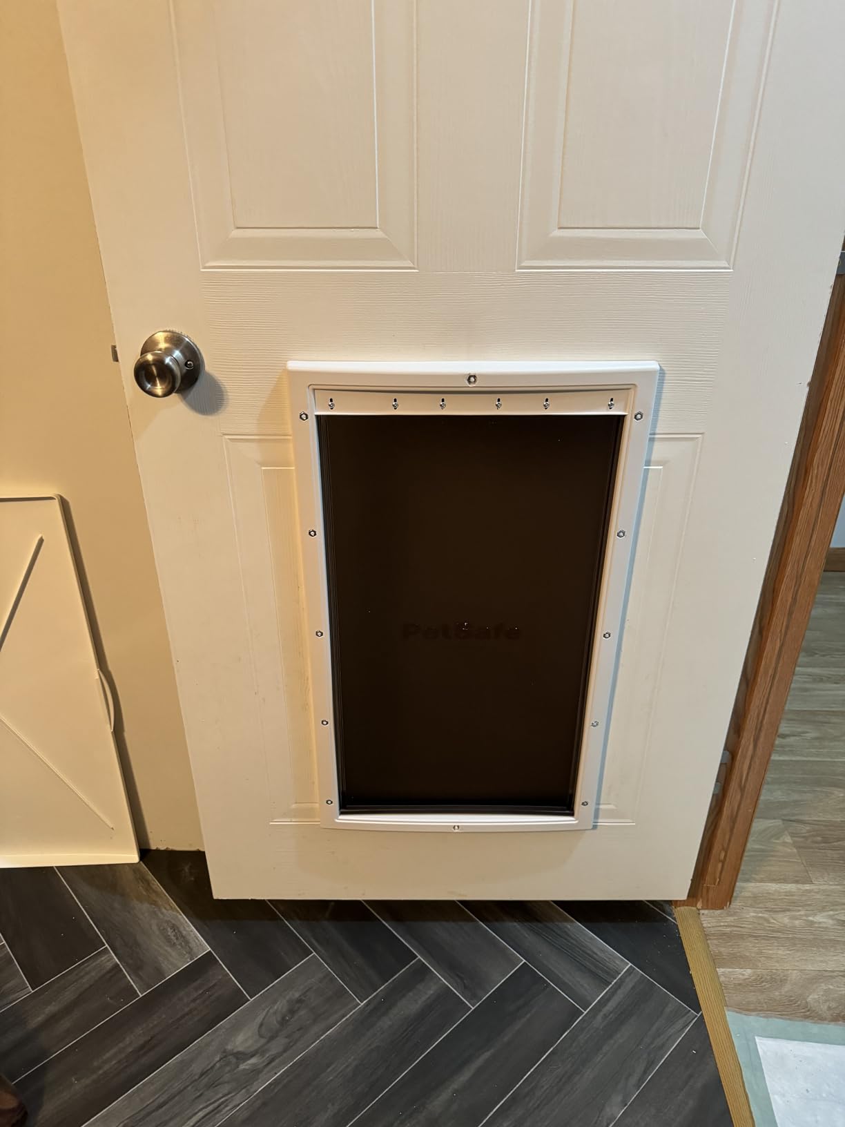 PetSafe Plastic Dog & Cat Door, Pets Up to 220 lb, X-Large | Flap Opening 13 5/8 in W x 23 5/8 in H, Snap-on Closing Panel, Paintable Frame, Easy DIY Install customer photo 1