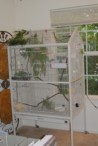 Prevue Pet Products Steel Bird Flight Cage with Wheels - Black, Large | Large Birdcage for Parakeets, Canaries, Finches, Cockatiels, Lovebirds, & Green Cheeks, Metal Standing Birdcage customer photo 1