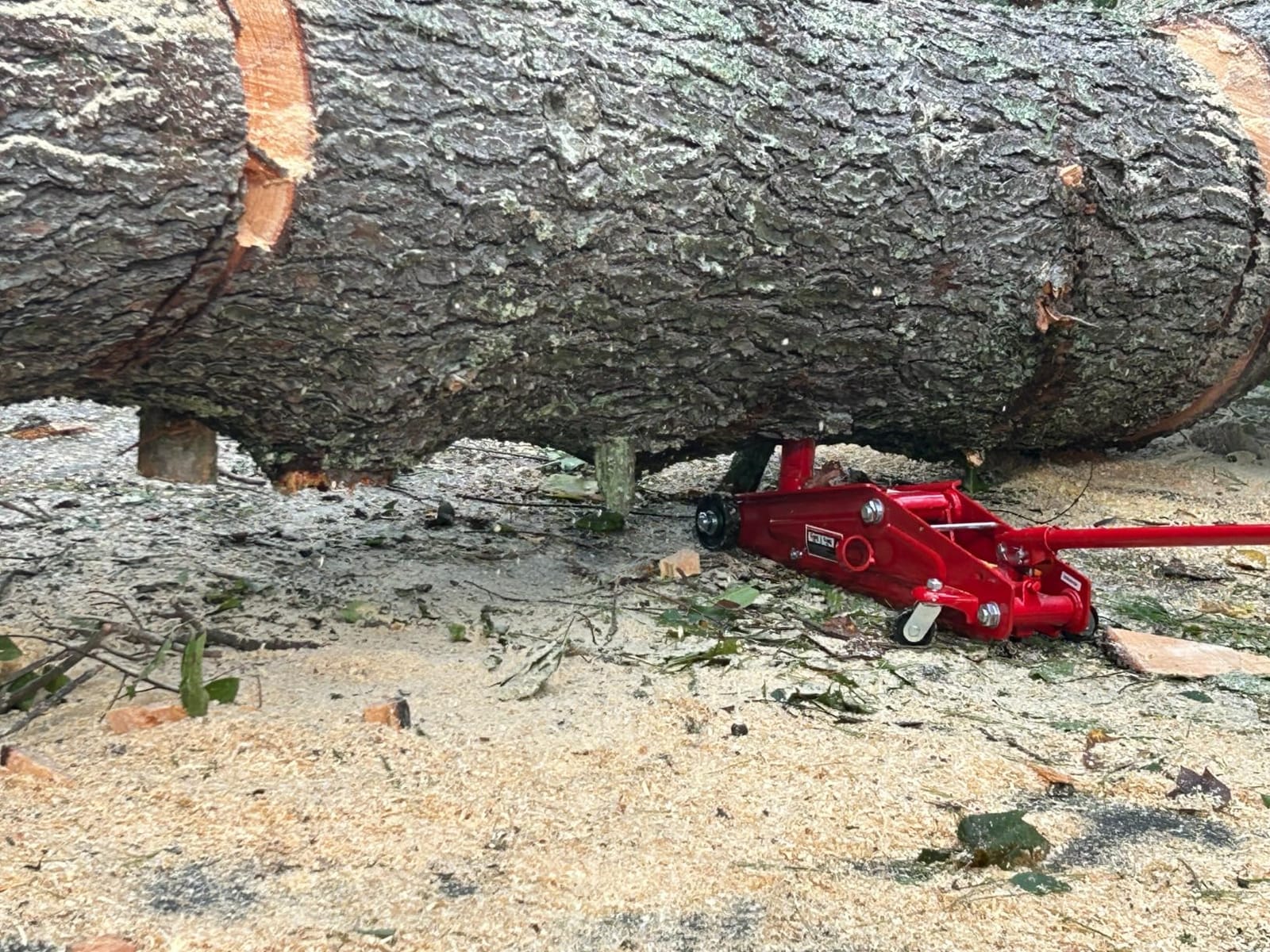 BIG RED T83006 Torin Hydraulic Trolley Service/Floor Jack with Extra Saddle (Fits: SUVs and Extended Height Trucks): 3 Ton (6,000 lb) Capacity, Red customer photo 1