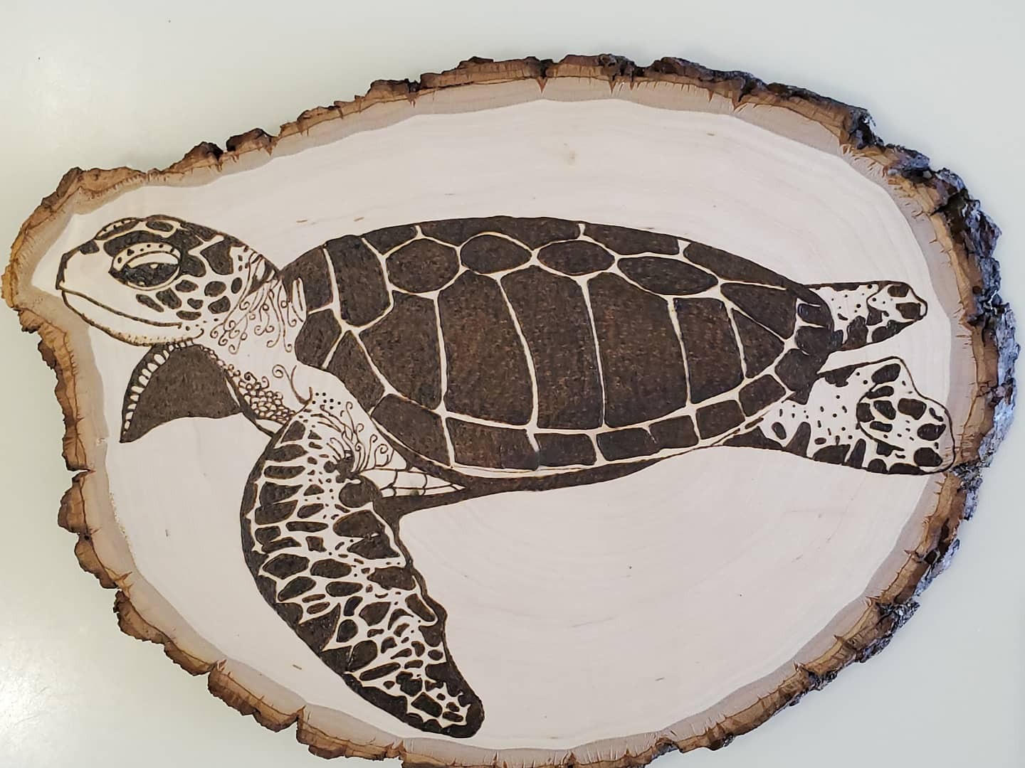 Super Pro II Woodburning Kit customer photo 1