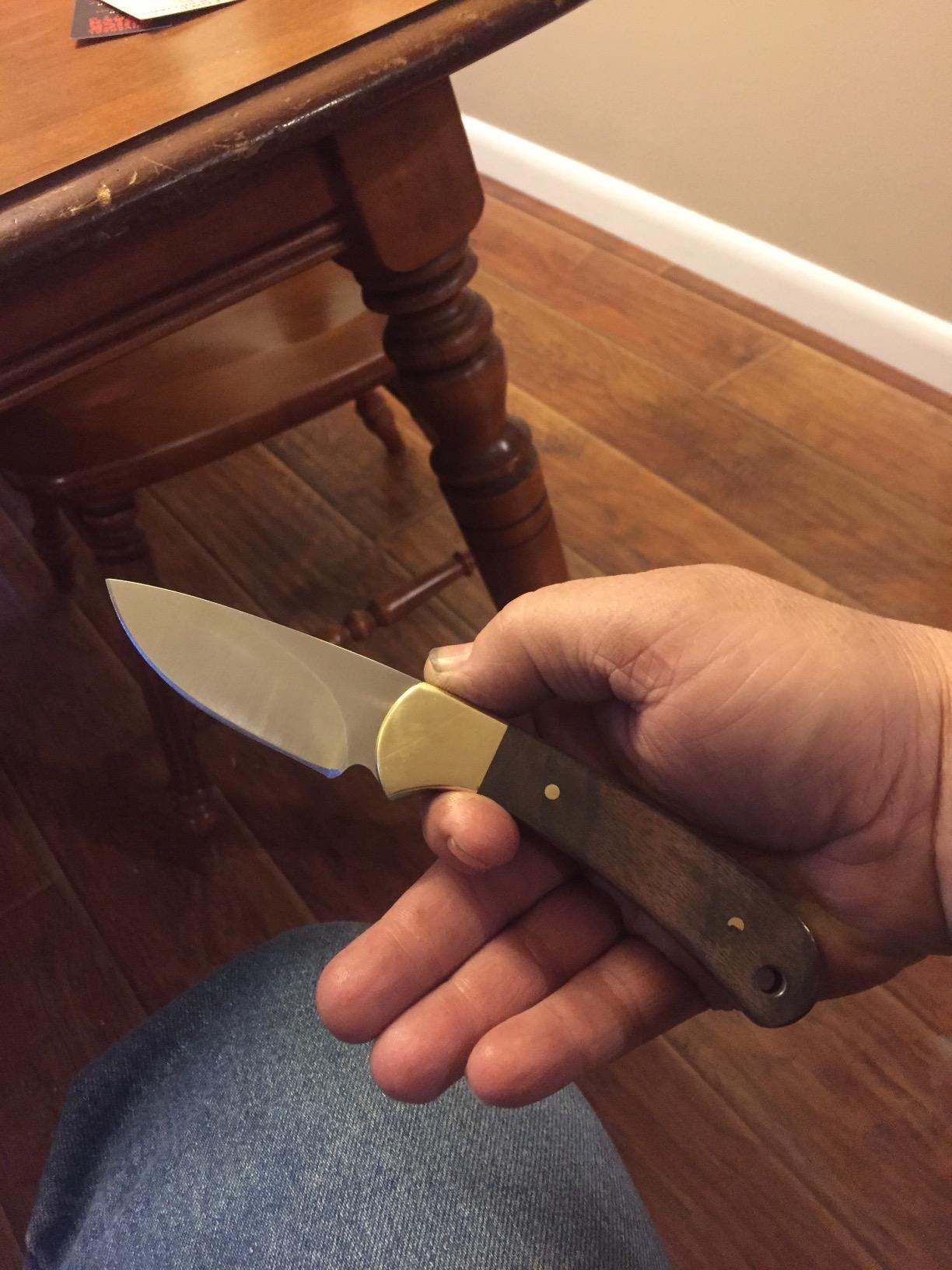 Buck Knives 113 Ranger Skinner Hunting Knife with Sheath, 5.2 oz | 3-1/8