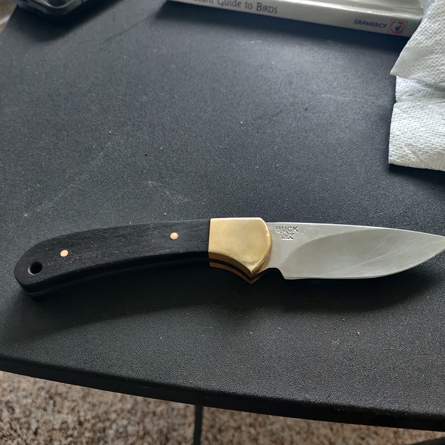 Buck Knives 113 Ranger Skinner Hunting Knife with Sheath, 5.2 oz | 3-1/8