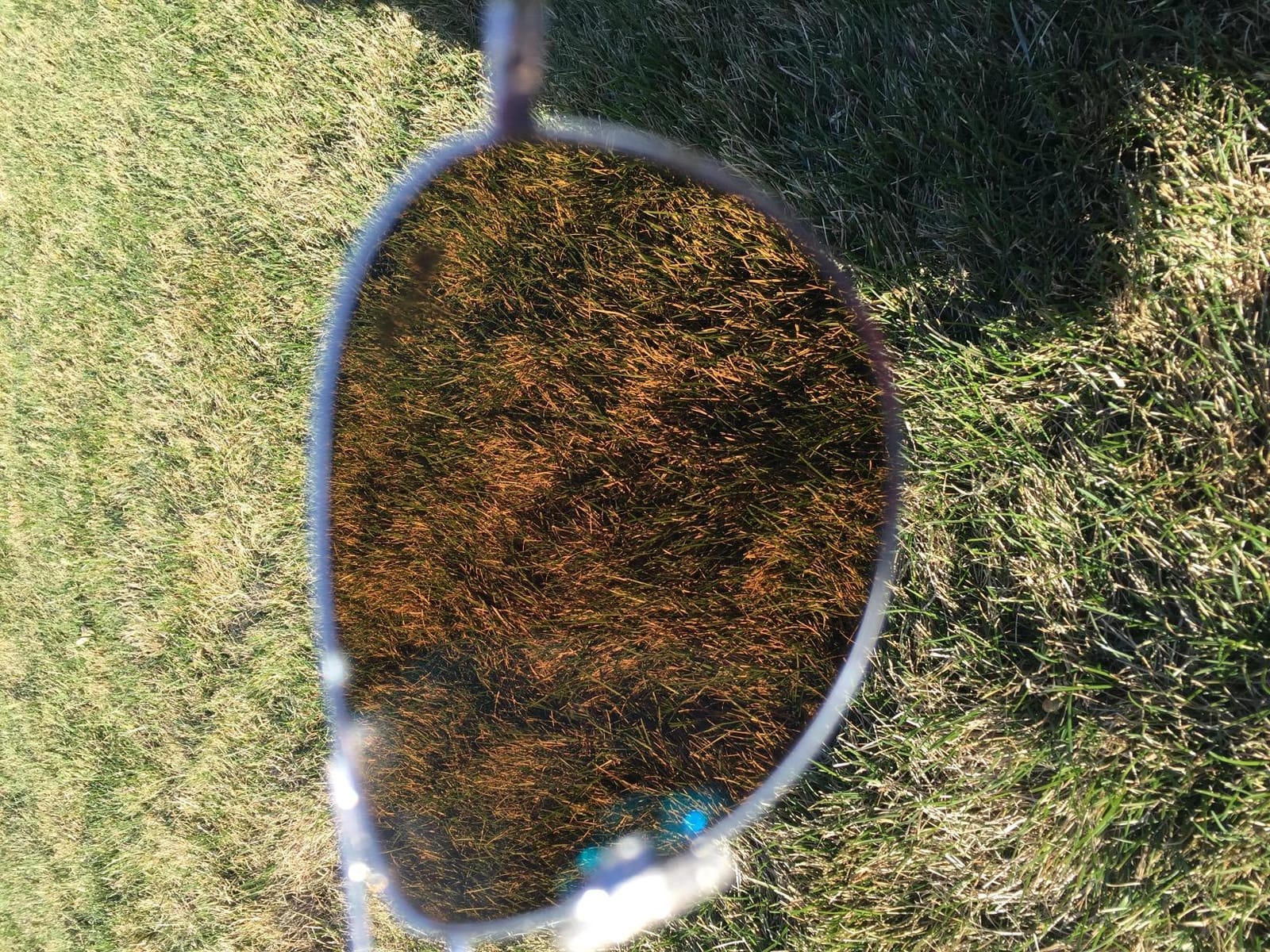 Maui Jim Polarized Men's and Women's Baby Beach Aviator Sunglasses customer photo 1