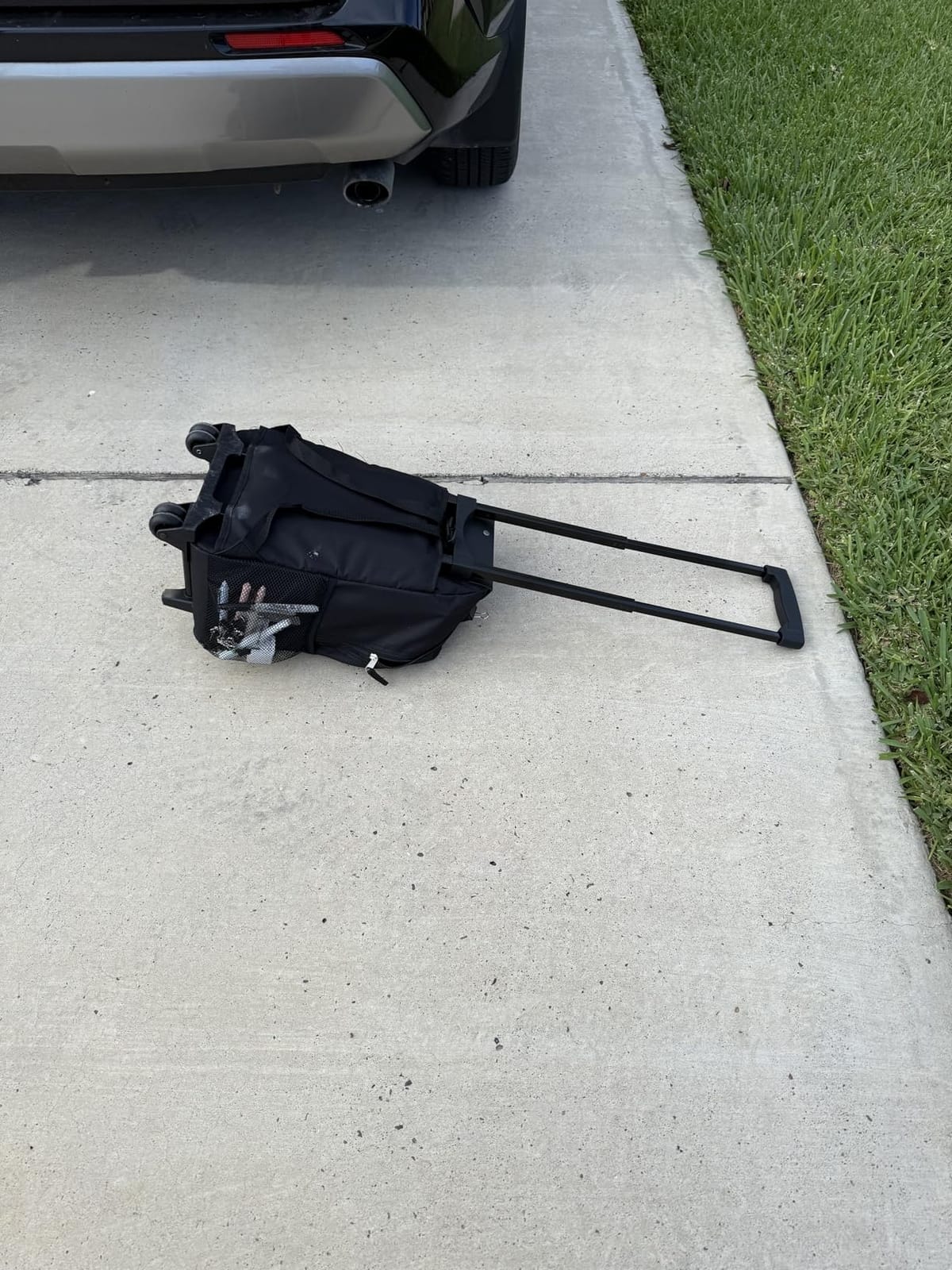 Rockland Double Handle 17