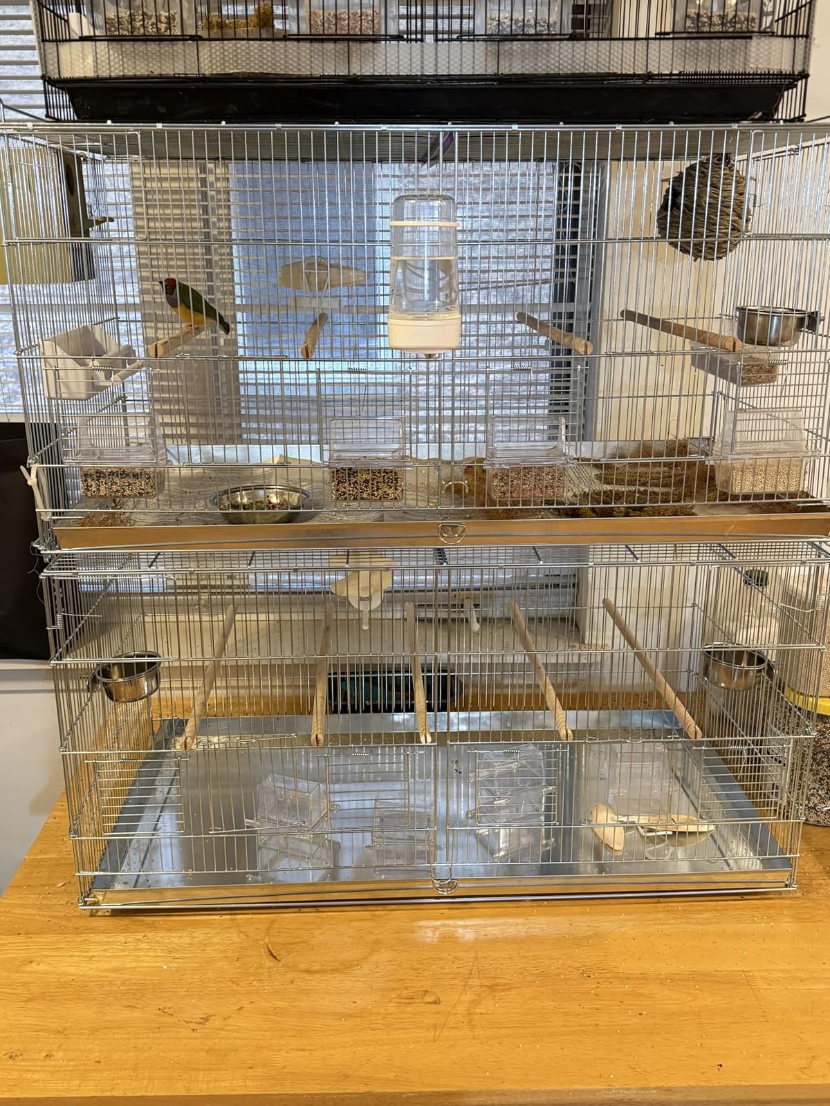 Large NO Rust Stainless Galvanized Stack and Lock Double Breeder Cage Bird Breeding Cage with Removable Center Divider Side Nest Box Doors Removable Rolling Stand customer photo 2