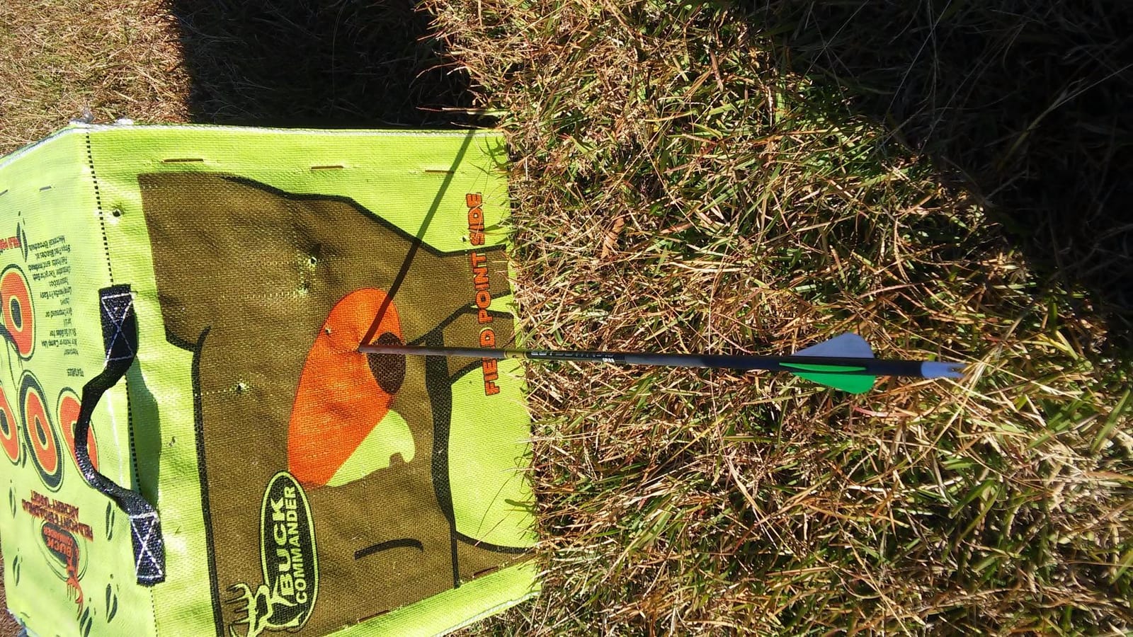 Samick Sage Archery Takedown Recurve Bow 62-inch - Bows for Teens to Adults - Beginners to Advanced, for Hunting & Target Practice customer photo 1