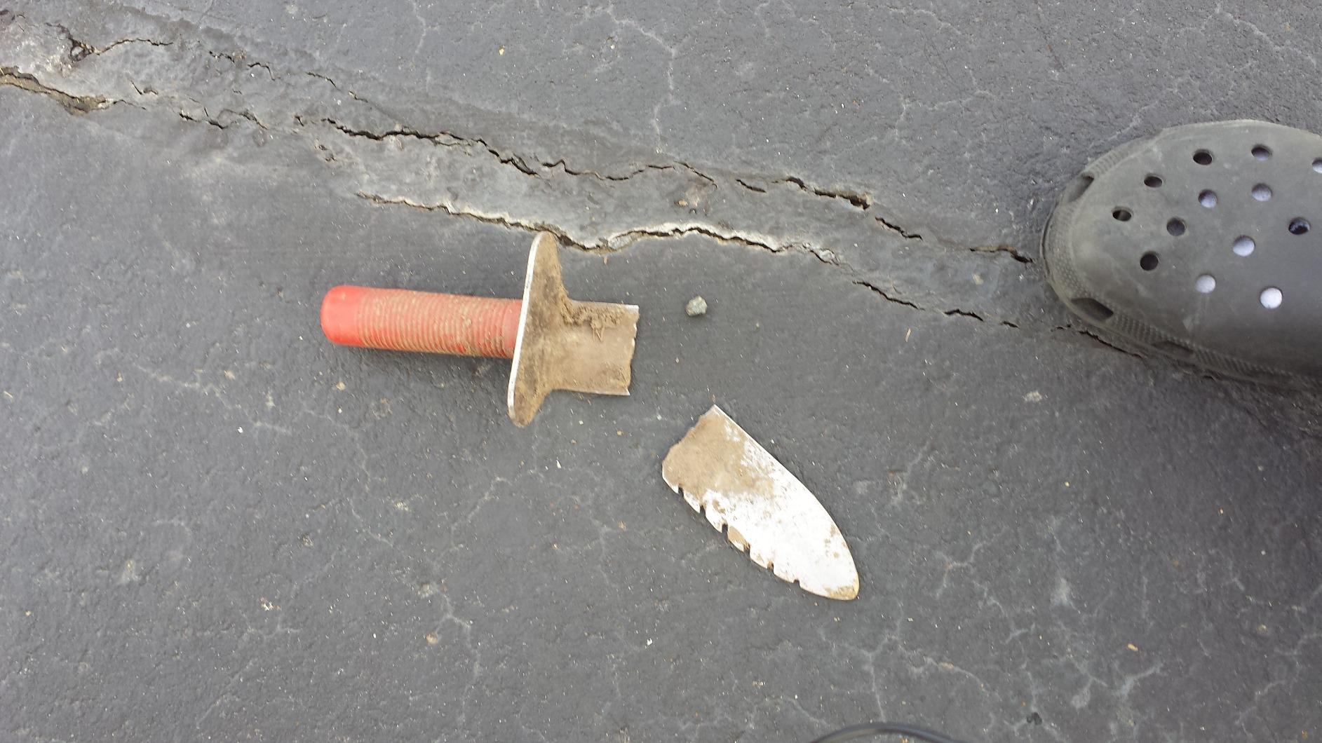 Lesche Digging Tool & Sod Cutter & Free Sheath! (Serrated on Left Side) customer photo 2