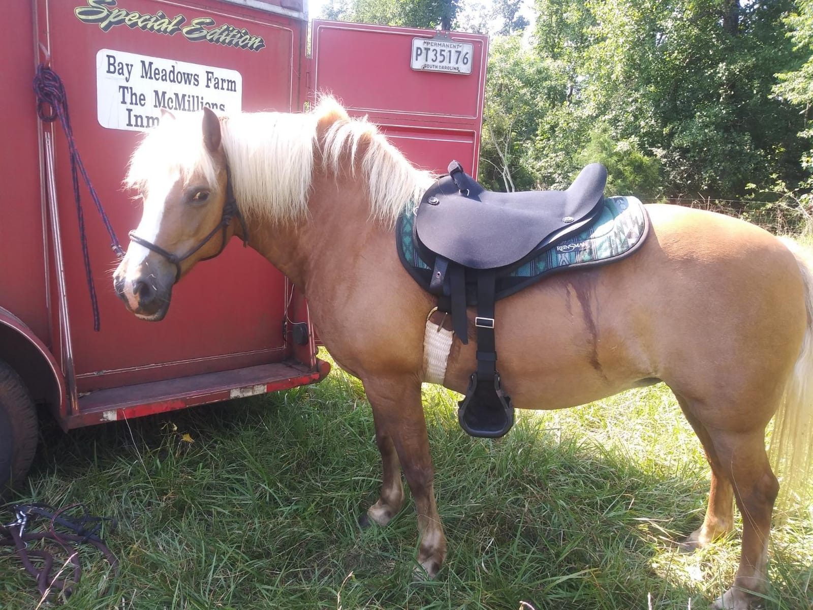 MUSTANG Western Soft Ride Saddle customer photo 1