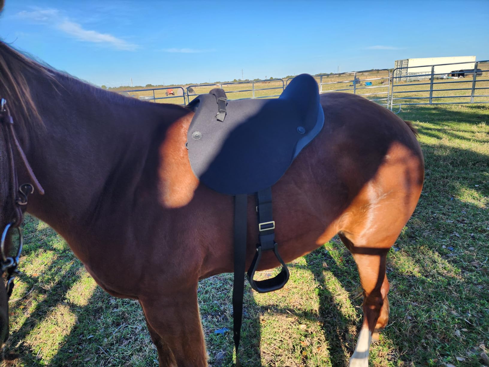MUSTANG Western Soft Ride Saddle customer photo 2