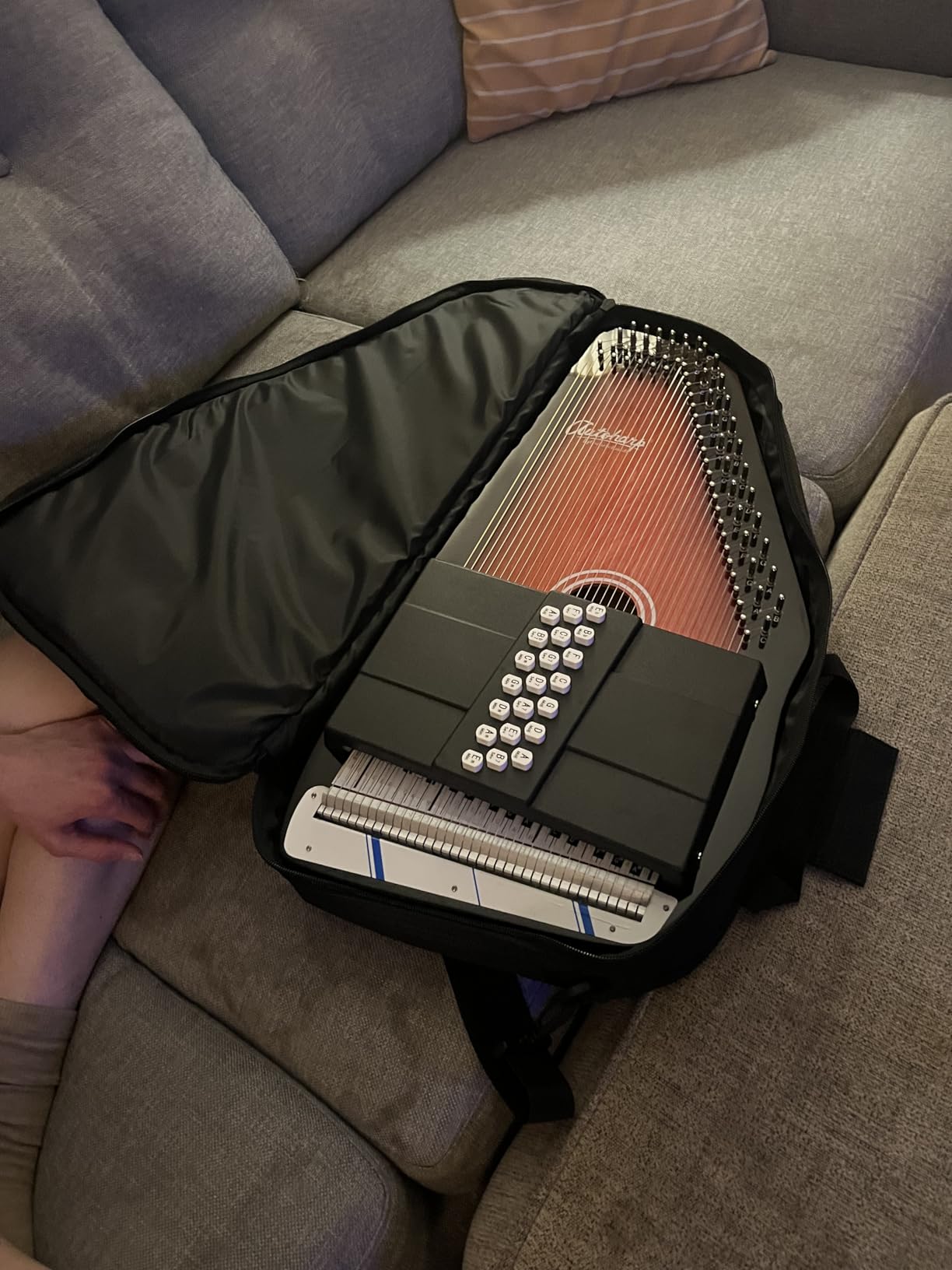 OS21C 21 Chord Classic Autoharp with AC445 Padded Gig Bag customer photo 1