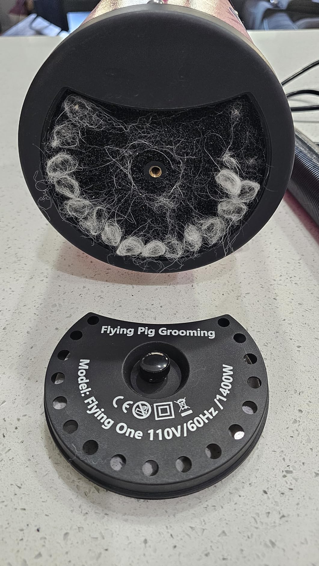 Flying Pig High Velocity Dog Pet Grooming Dryer w/Heater (Model: Flying One, Purple) customer photo 2