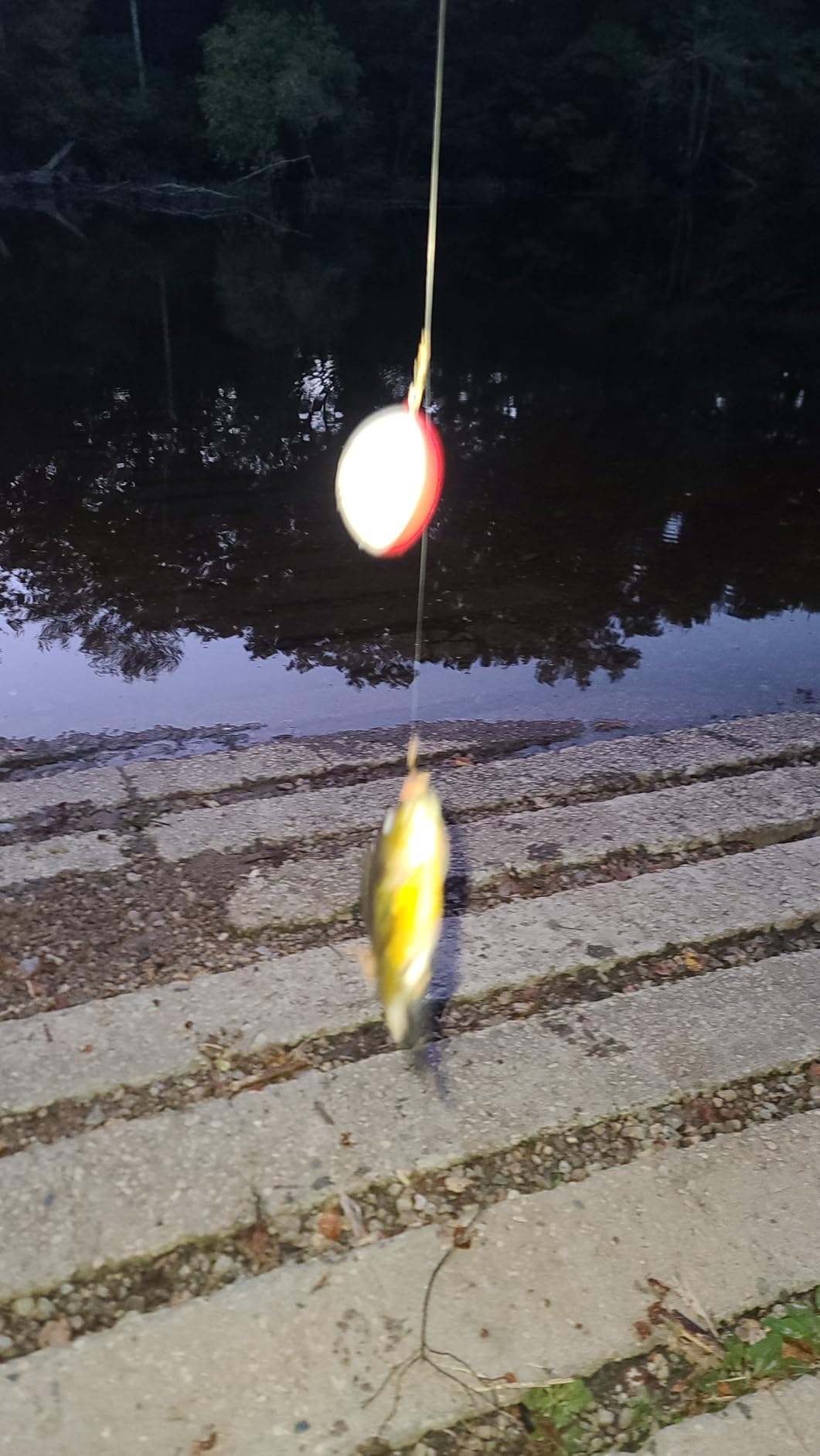 Reelsonar iBobber portable wireless bluetooth fish finder depth finder with depth range of 135 feet 10+ hrs battery life with IOS & Android App Wireless and Watch App customer photo 1