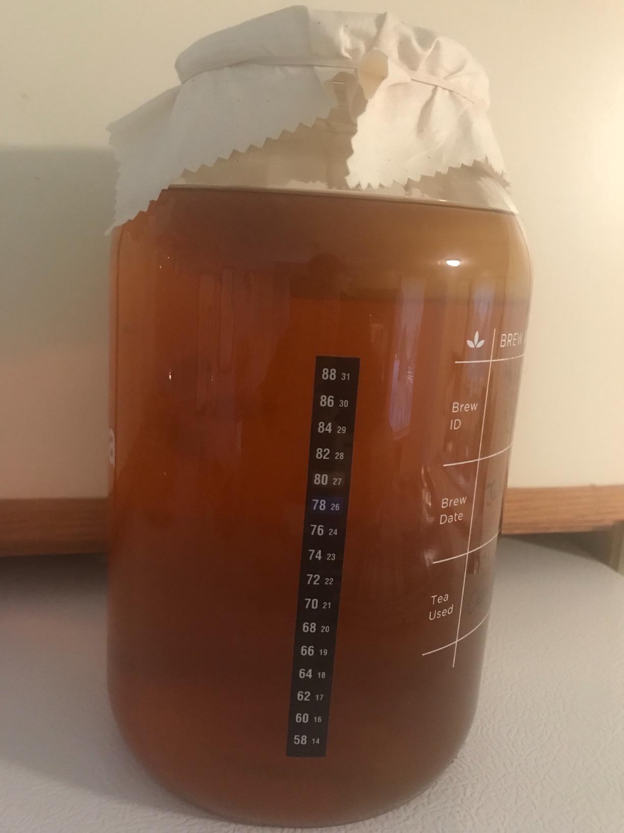 The Kombucha Shop Organic Kombucha Starter Kit - 1 Gallon Brewing Kit Includes All The Essentials Required for Brewing Kombucha At Home customer photo 2