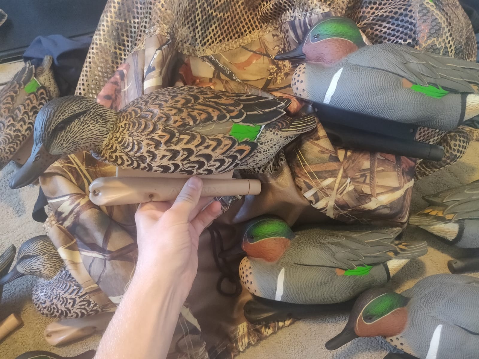 Avian X Topflight Green-Winged Teal Decoys, Realistic Floating Duck Decoys for Hunting, Weight-Forward Swim Keel, Set of 6, Multicolor customer photo 2