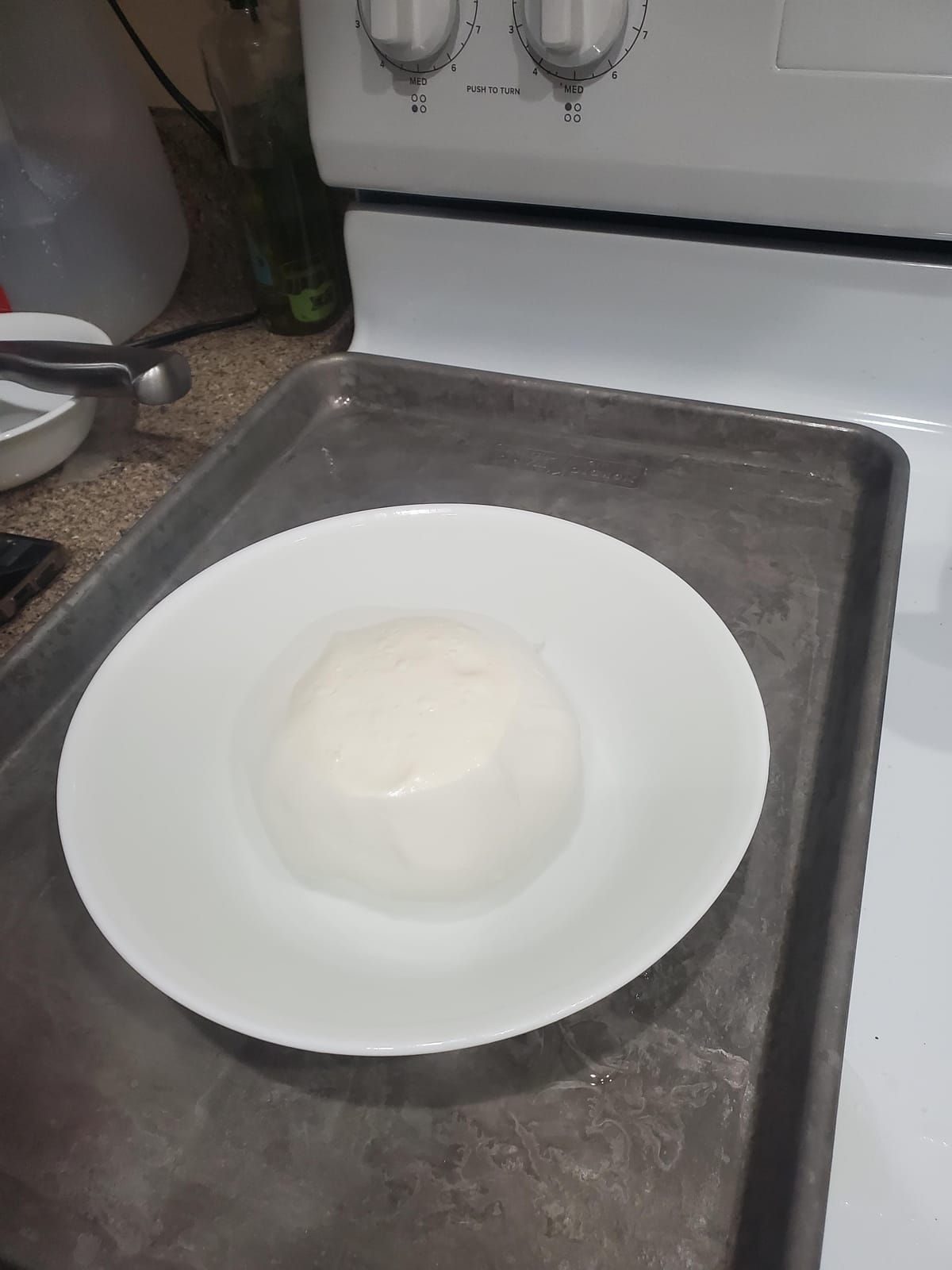 Mozzarella & Ricotta Cheese Making Kit | 5 Piece DIY Kit Includes Cheesecloth, Vegetable Rennet, Citric Acid, Cheese Salt, & Cooking Thermometer | Great Gift Ideas | Italian Cheese Making Supplies customer photo 2