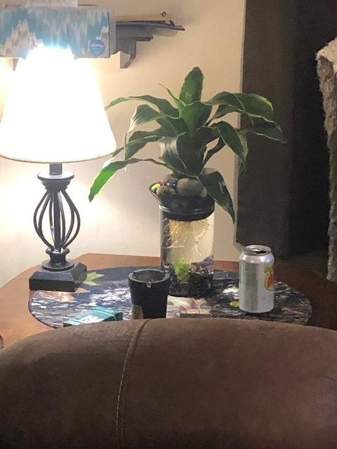Penn-Plax (APON1) Aquaponic Planter and Aquarium for Betta Fish Tank Promotes Healthy Hydroponic Environment for Plants and Fish customer photo 1