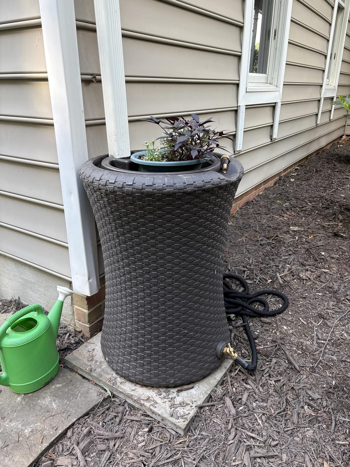 Good Ideas Impressions Nantucket Rain Water Collection Barrel, 50 Gallon | Dark Brown Rainwater Catcher, Outdoor Home Water Storage Collector with Garden Planter and Metal Spigots customer photo 1