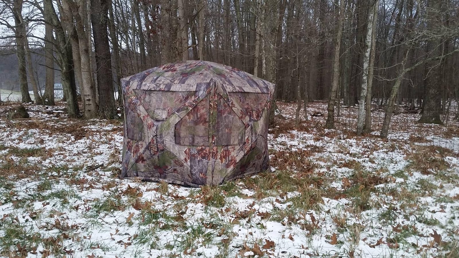 Barronett Blinds Pentagon, Portable Hunting Blind, 5-Sided Hub Blind, Huge Interior, Low Profile Windows, 4-Person, 72