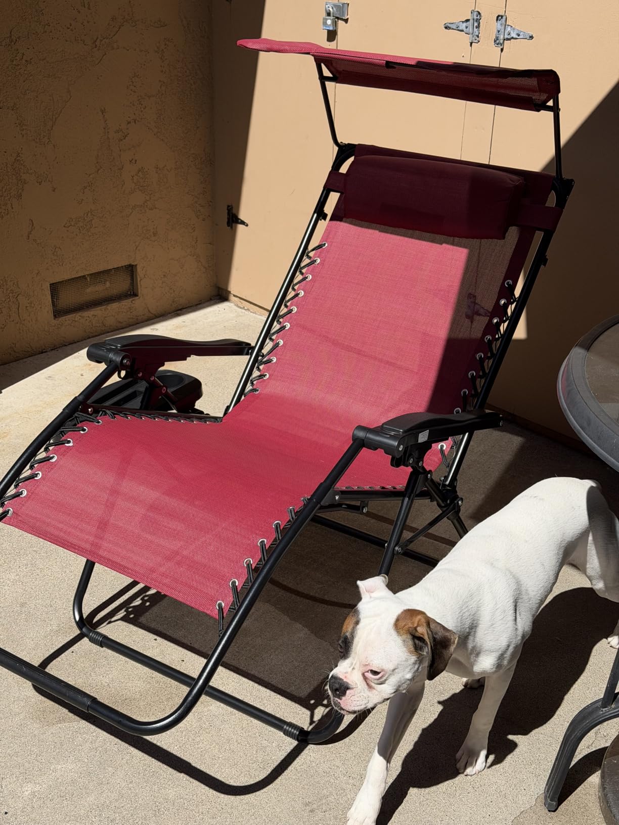 Best Choice Products Folding Zero Gravity Outdoor Recliner Patio Lounge Chair w/Adjustable Canopy Shade, Headrest, Side Accessory Tray, Textilene Mesh - Beige customer photo 1
