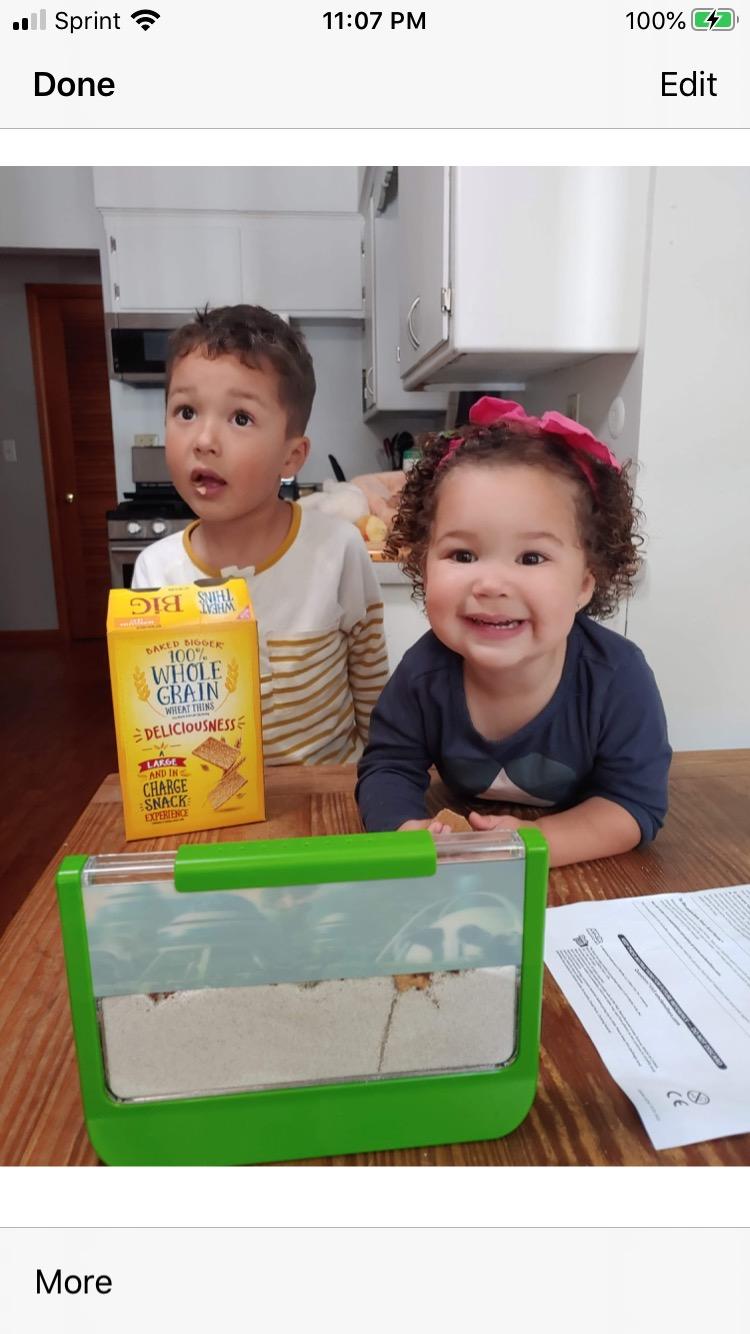 Uncle Milton Ant Farm Antopia Rainforest Ant Habitat - Observe Live Ants - STEM - Nature Learning Toy Green For 6 - 15 years customer photo 2
