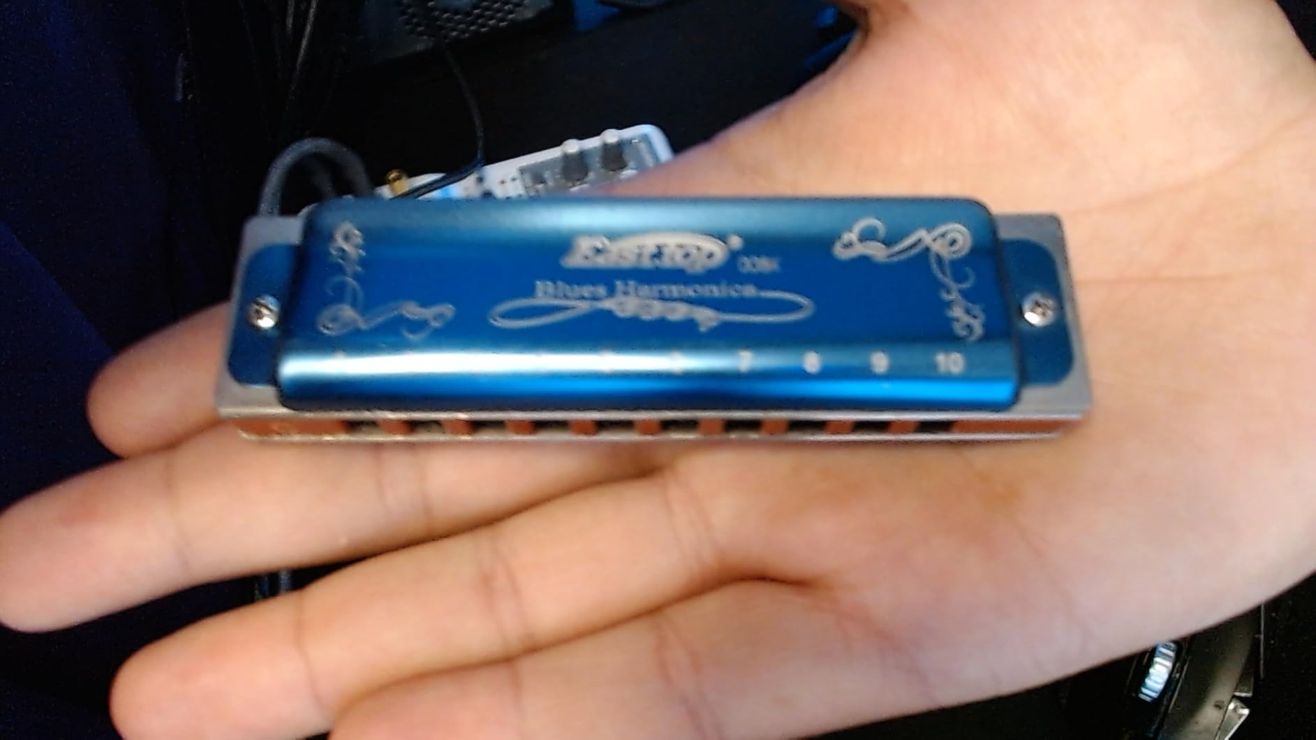 East top Harmonica Key of C, 10 Holes 008K Diatonic Mouth Organ with Blue Case, Standard Harmonica For Adults, Professionals, Beginners and Students, as a Gift customer photo 2