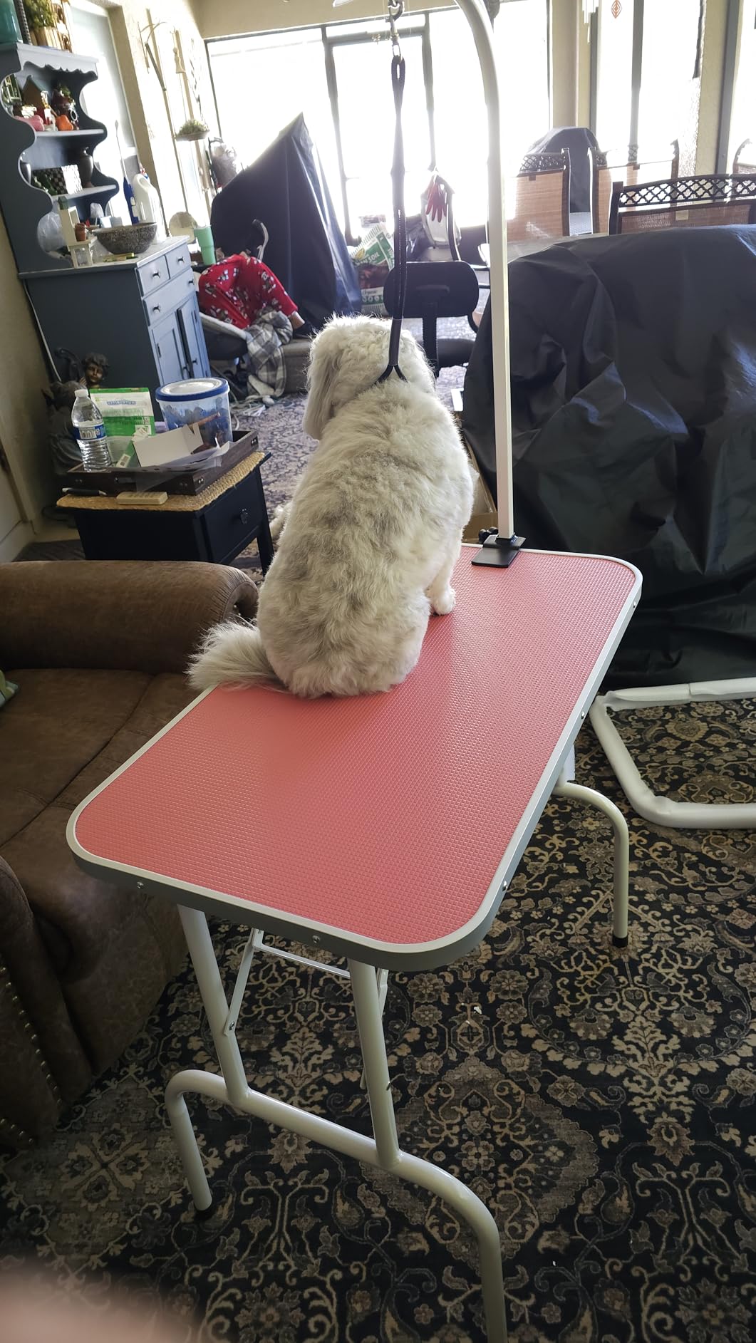 Yaheetech 32-inch Foldable Pet Dog Grooming Table with Adjustable Height Arm Drying Table for Home w/Noose for Small Dogs Cats Non-Slip Maximum Capacity Up to 220lbs Black customer photo 2
