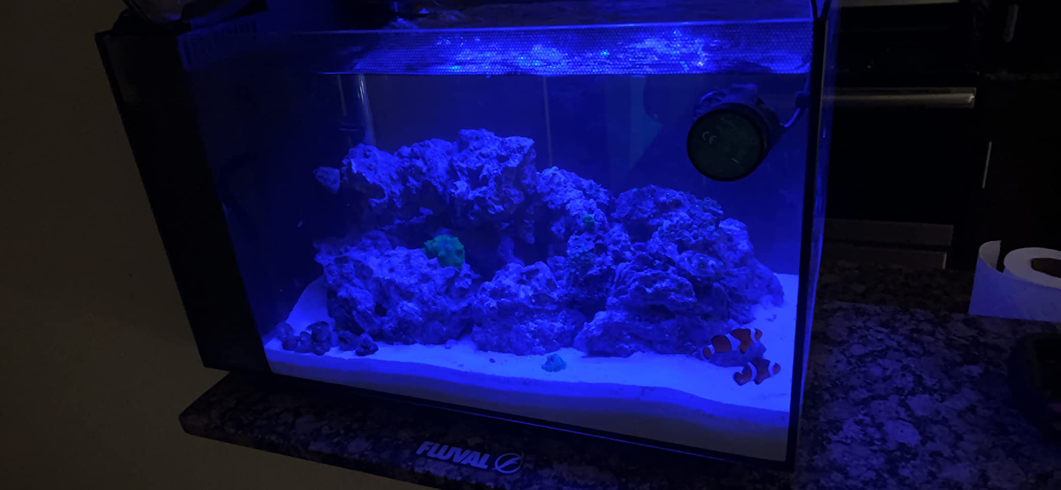 Fluval Evo XII Saltwater Aquarium Kit, 13.5 Gal. | Saltwater Fish Tank with Reef-Capable LED, Efficient 3-Stage Filtration and Seamlessly Integrated Hardware customer photo 2